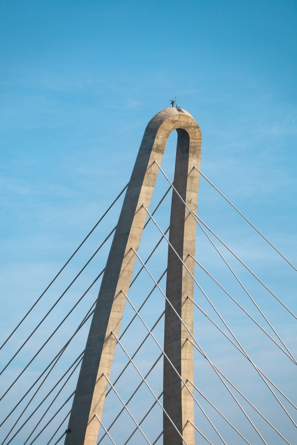 un uccello è seduto sulla cima di un ponte