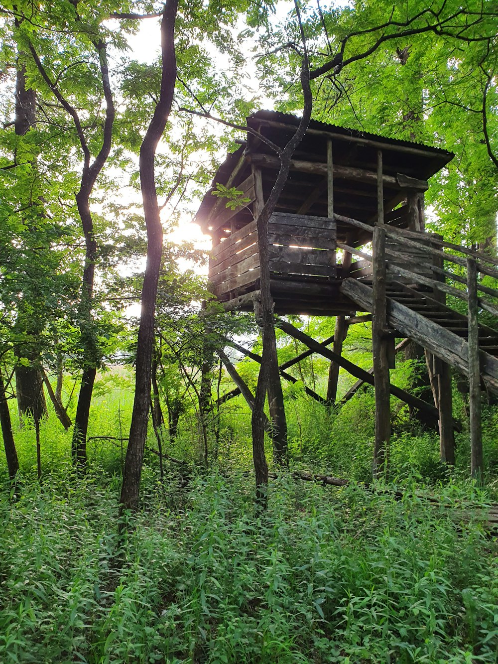 ein Baumhaus mitten im Wald