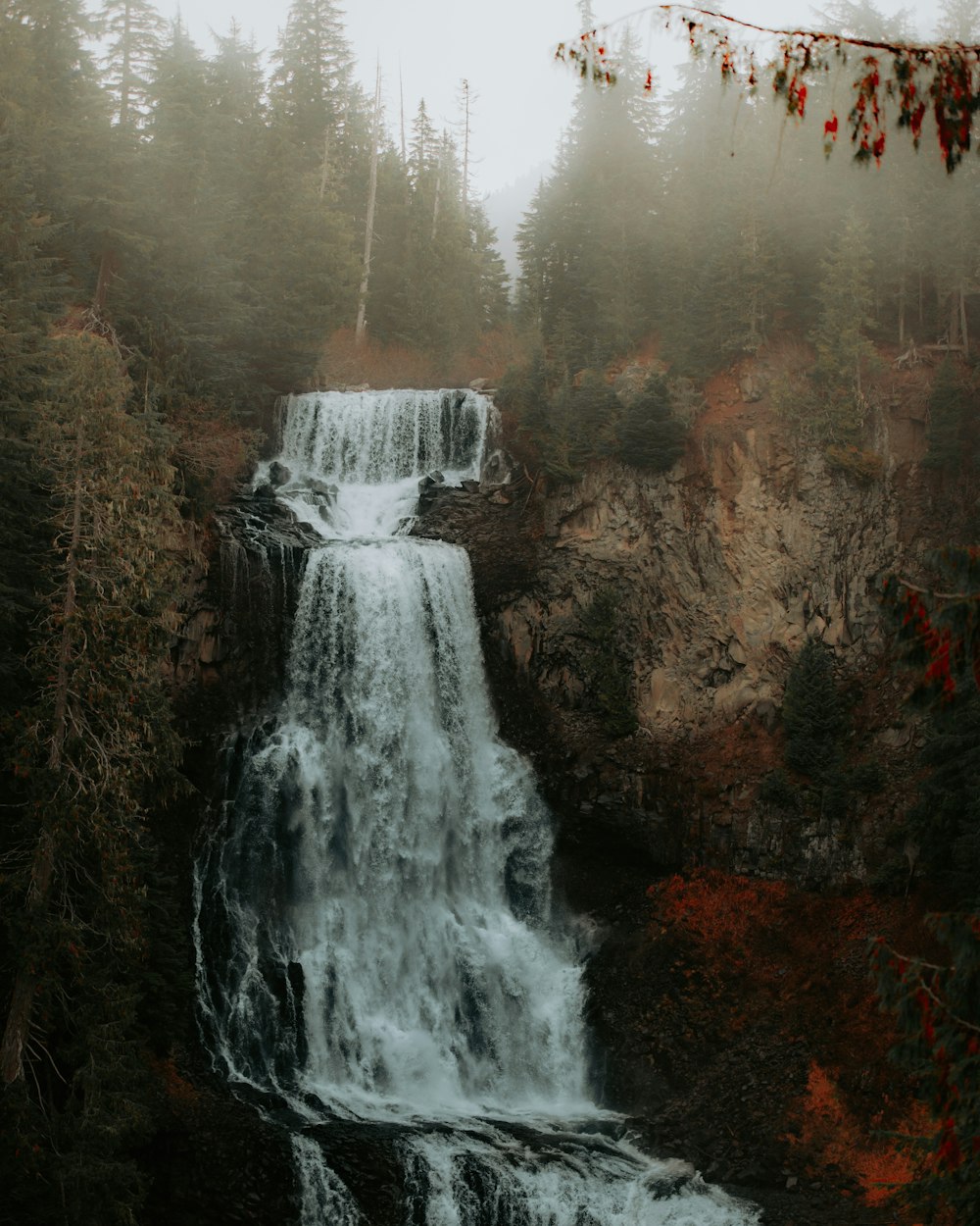 una cascata in mezzo a una foresta