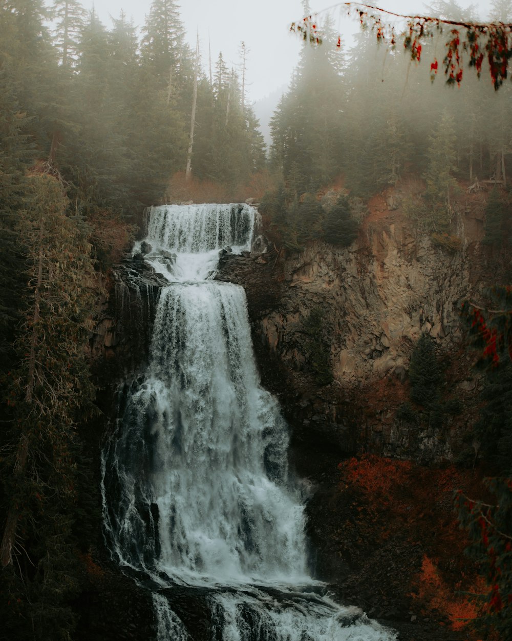 a waterfall in the middle of a forest