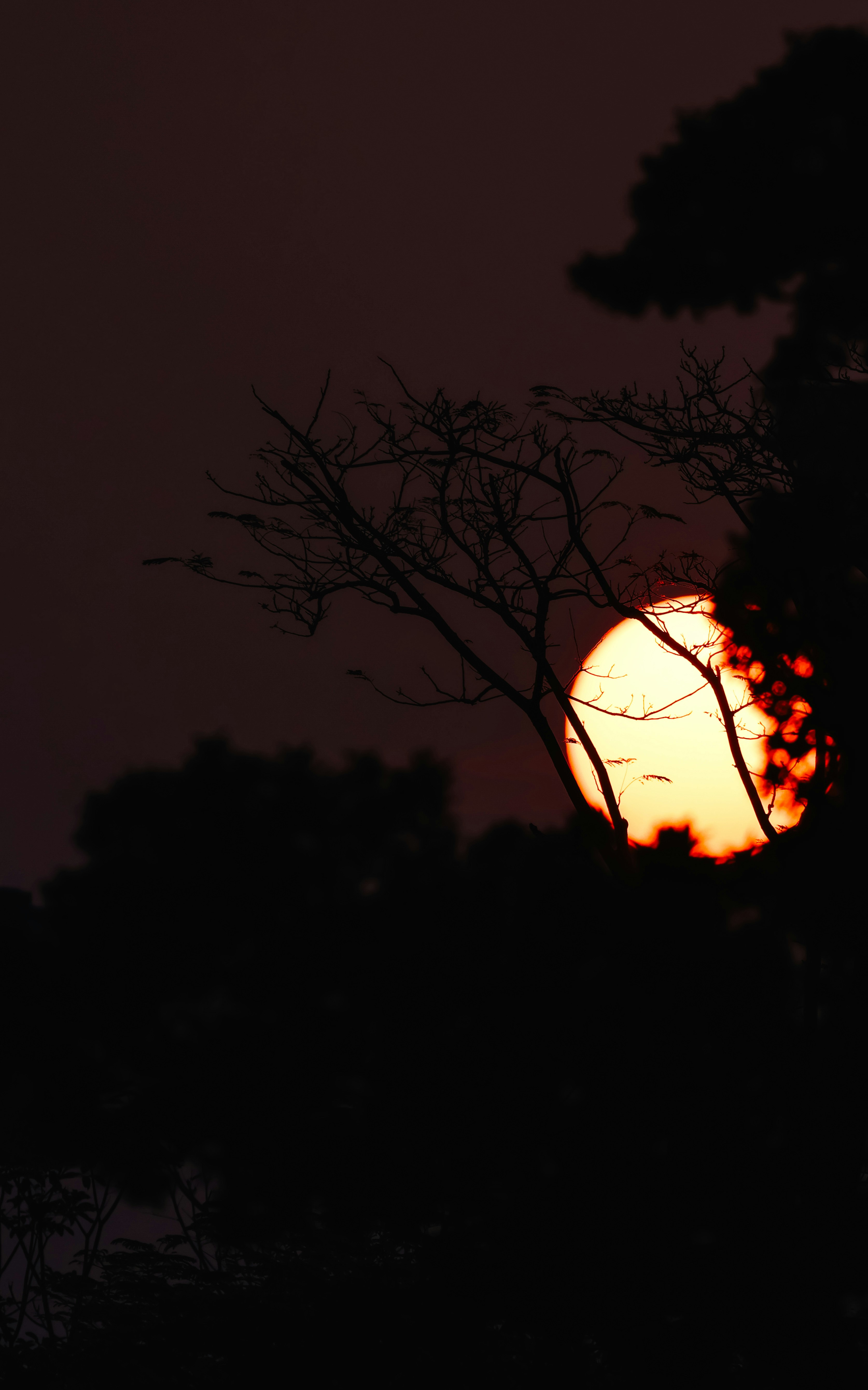 Photo by dickenslin76