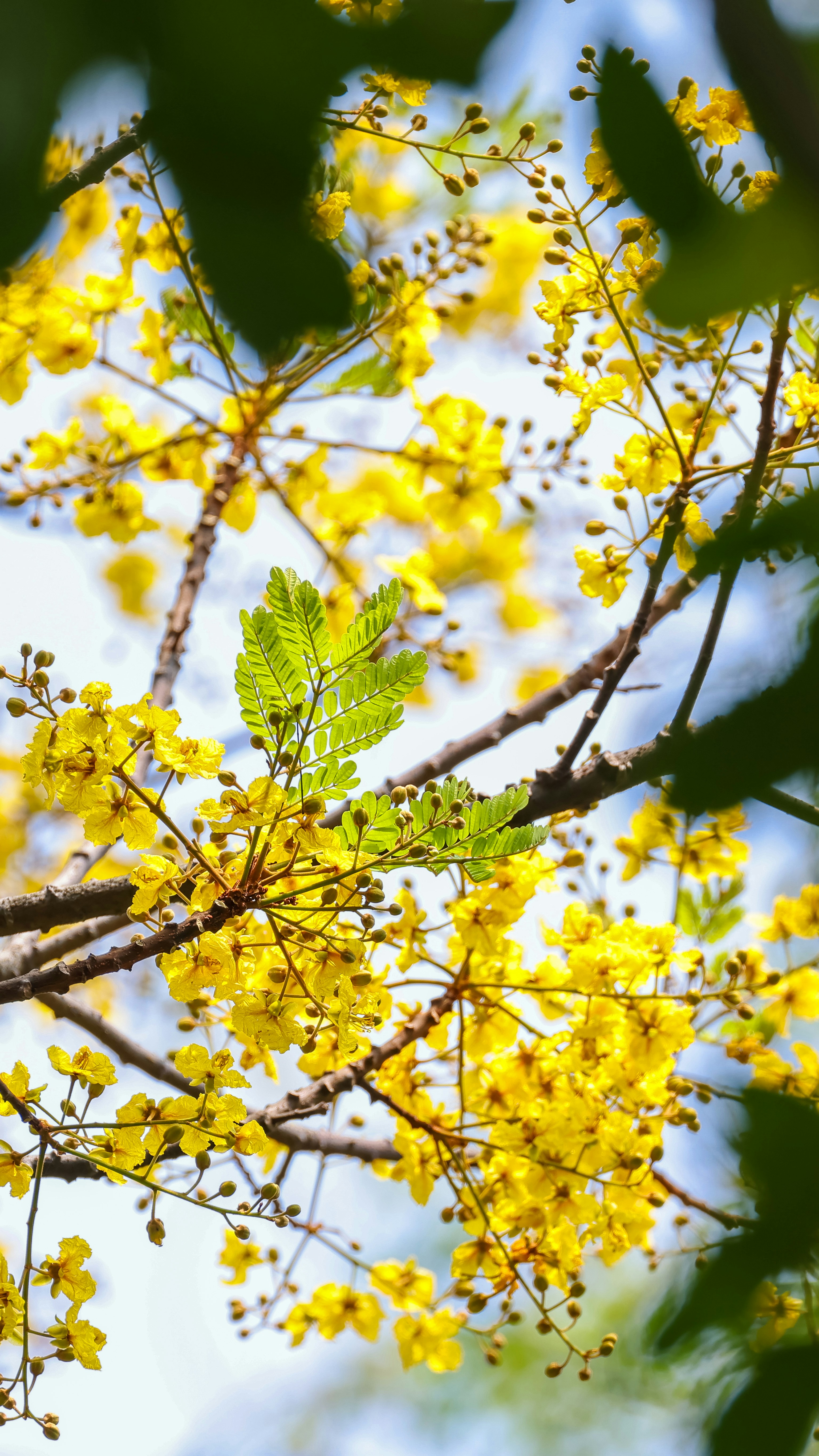 Photo by dickenslin76