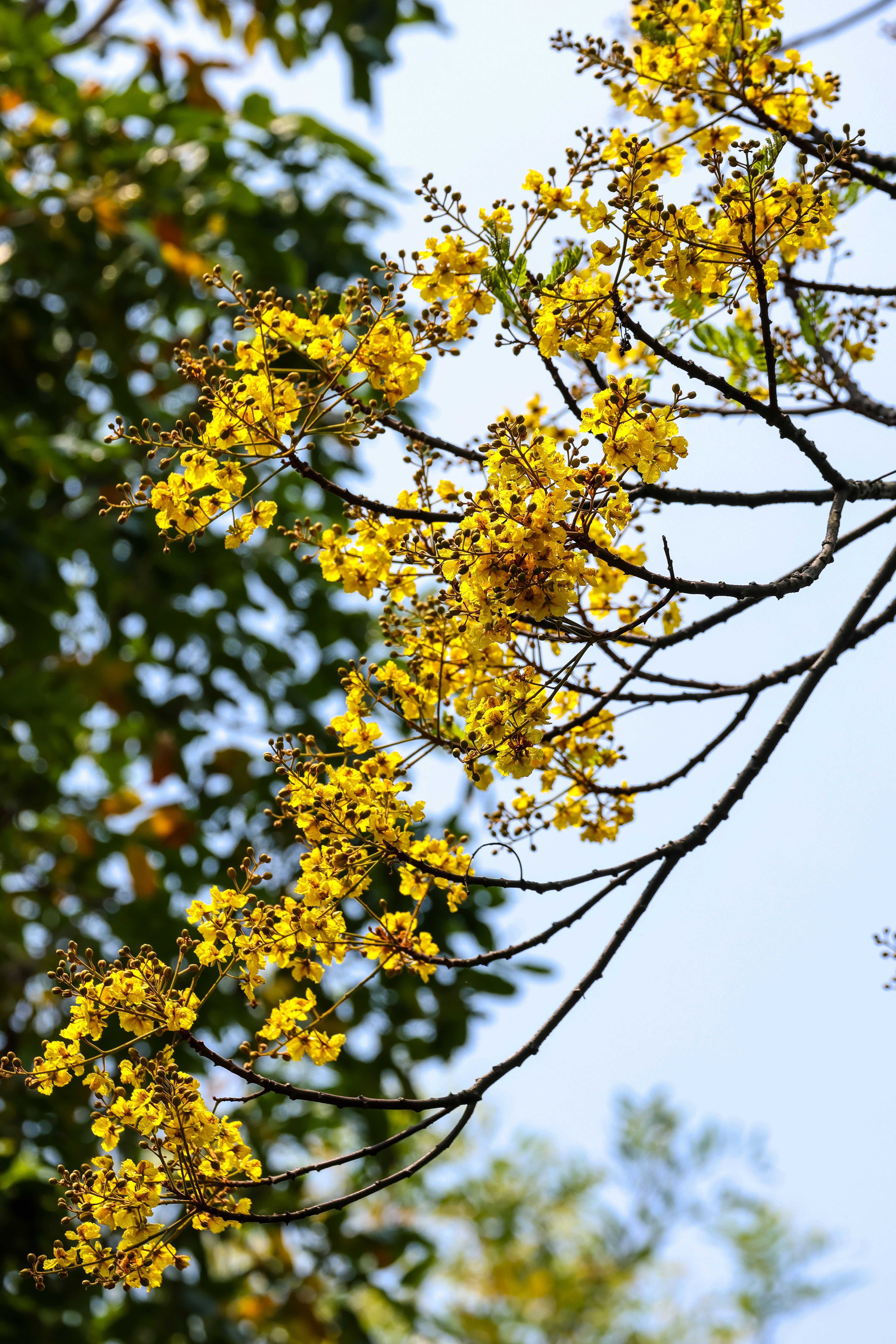 Photo by dickenslin76