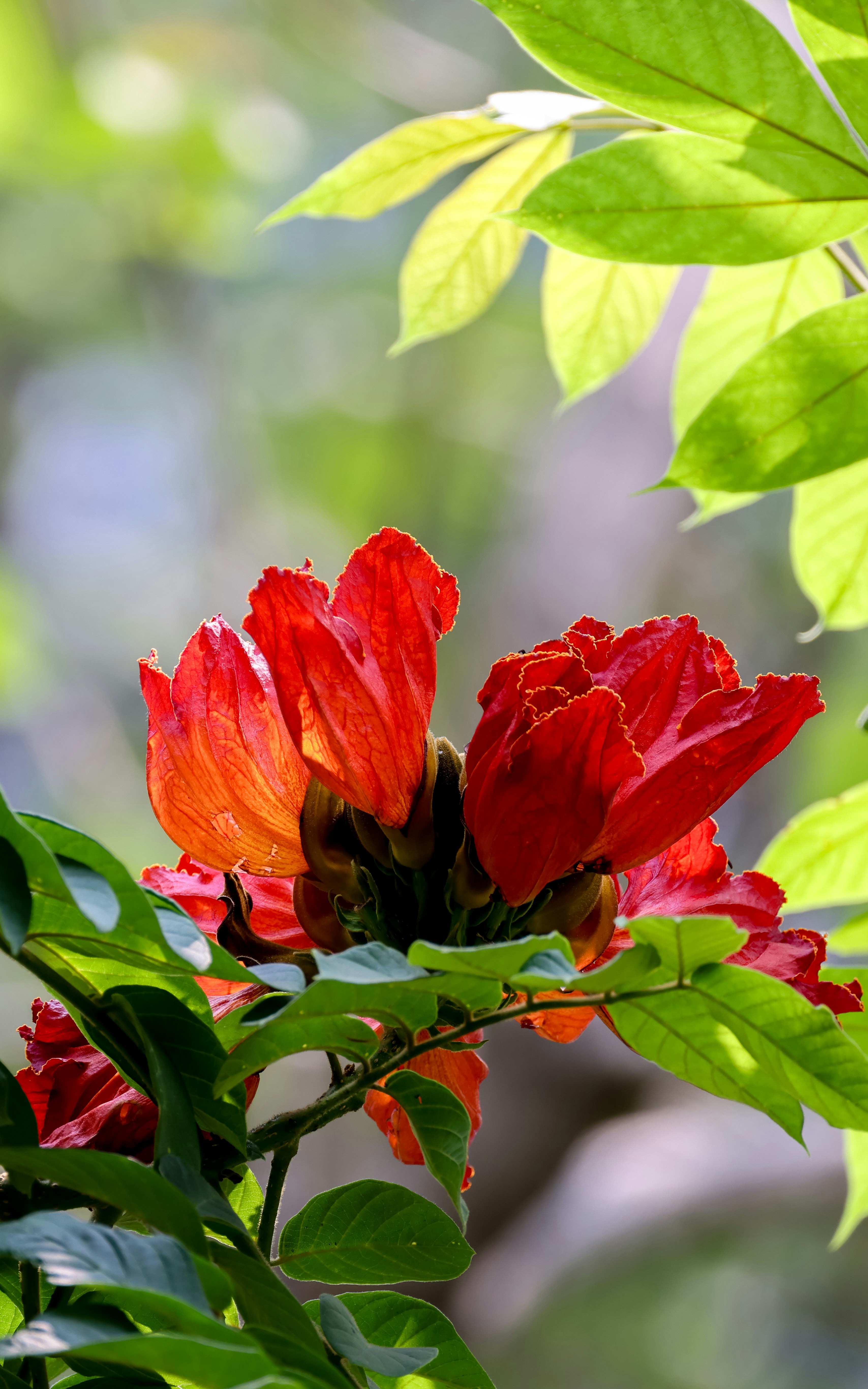 Photo by dickenslin76