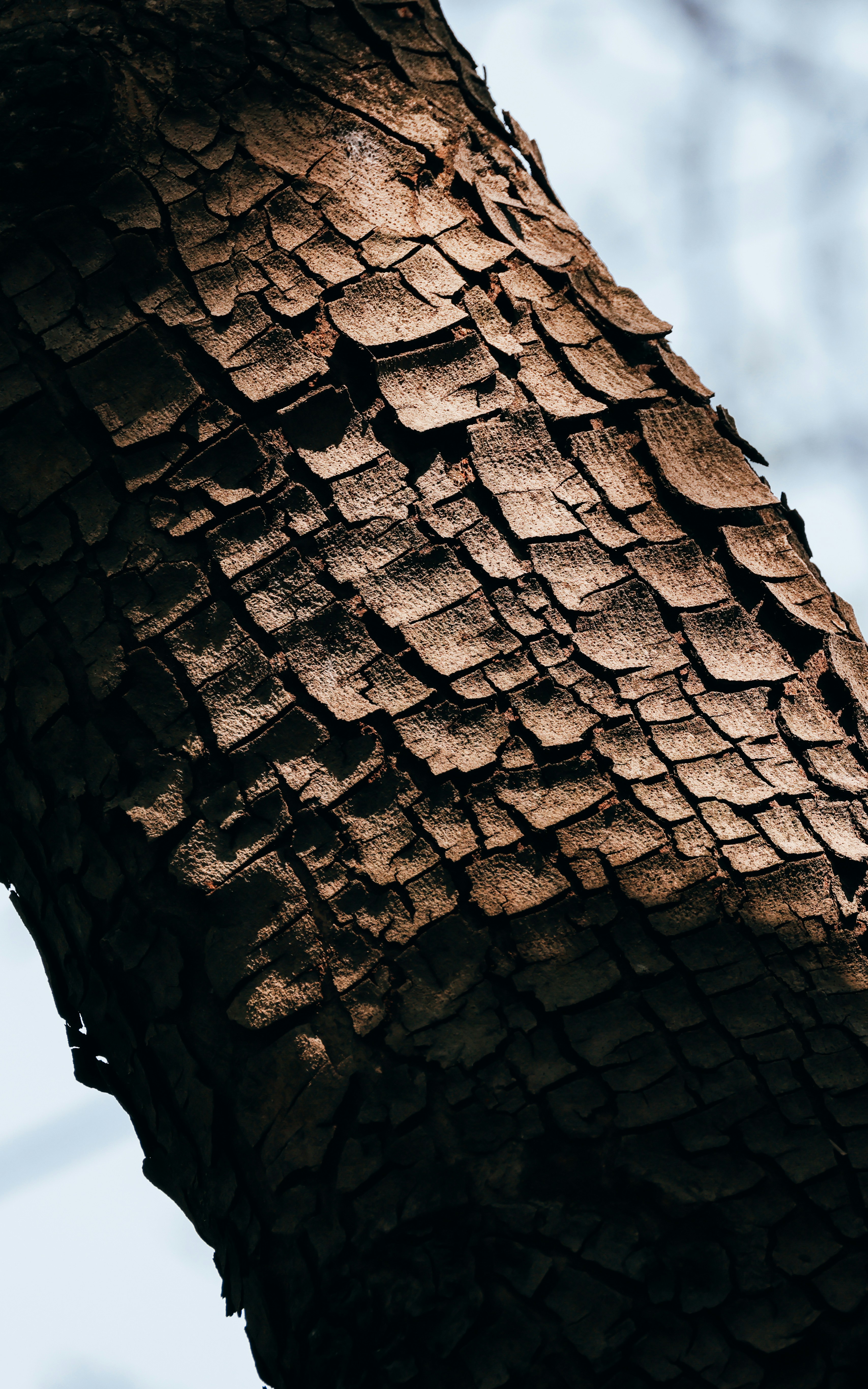 Photo by dickenslin76