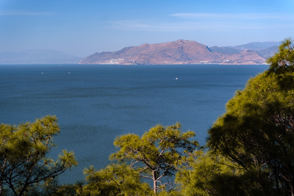 a large body of water surrounded by trees