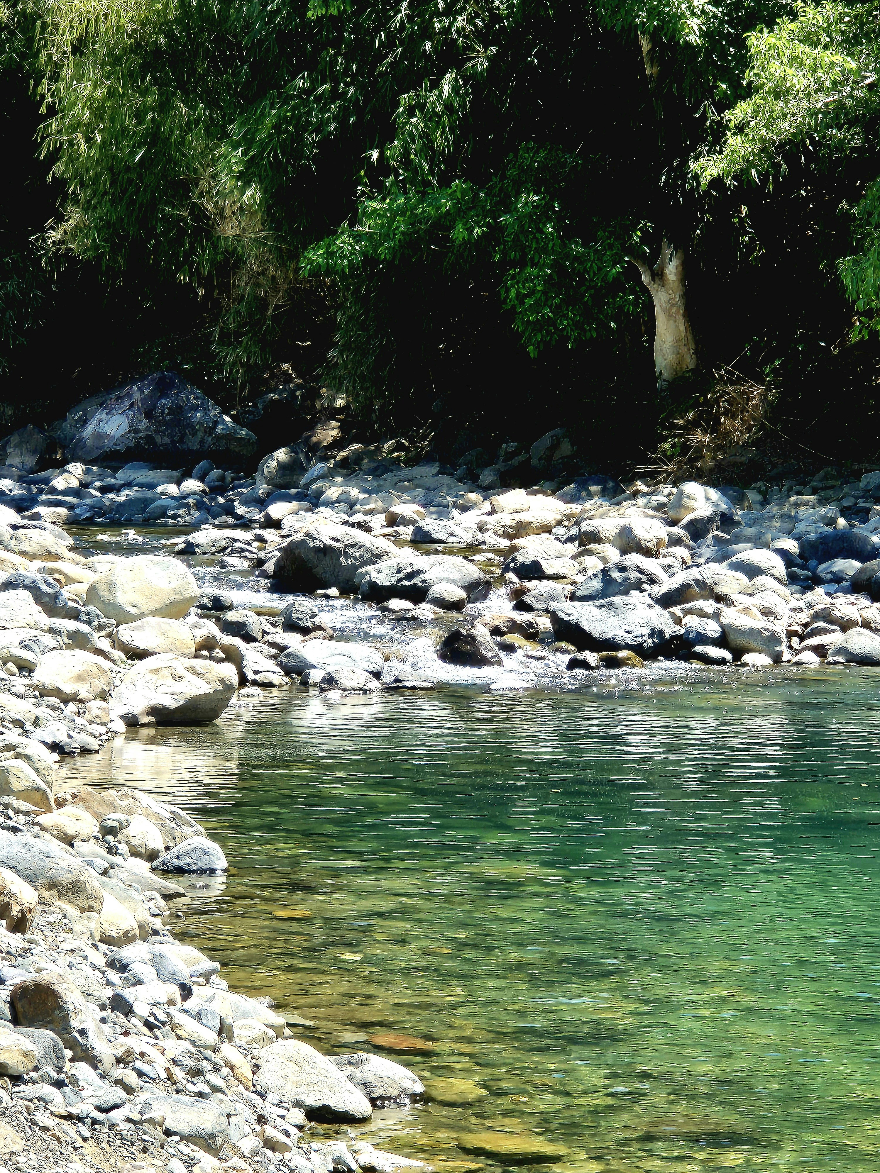 Photo by quaninthejungle