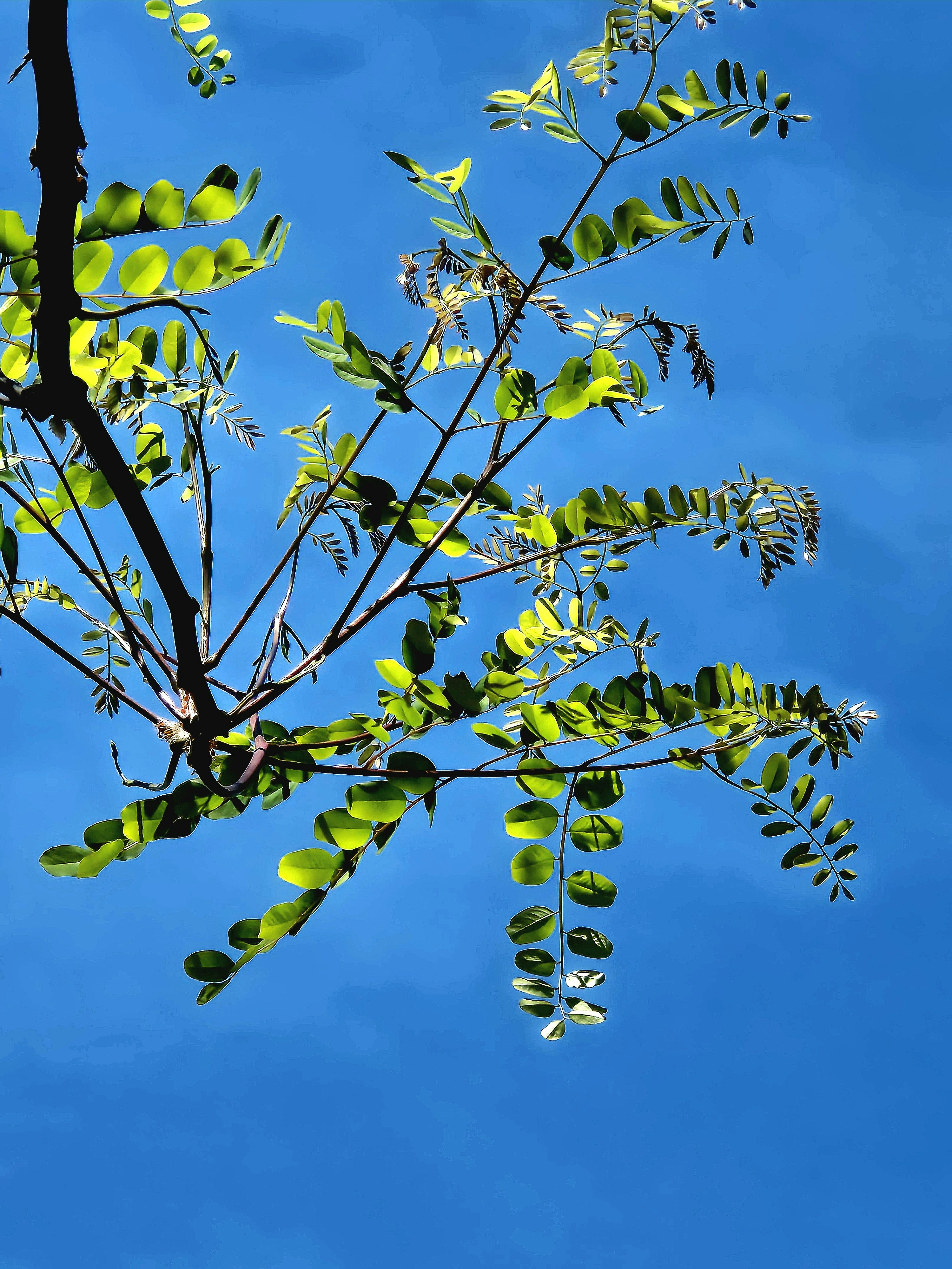 Photo by quaninthejungle