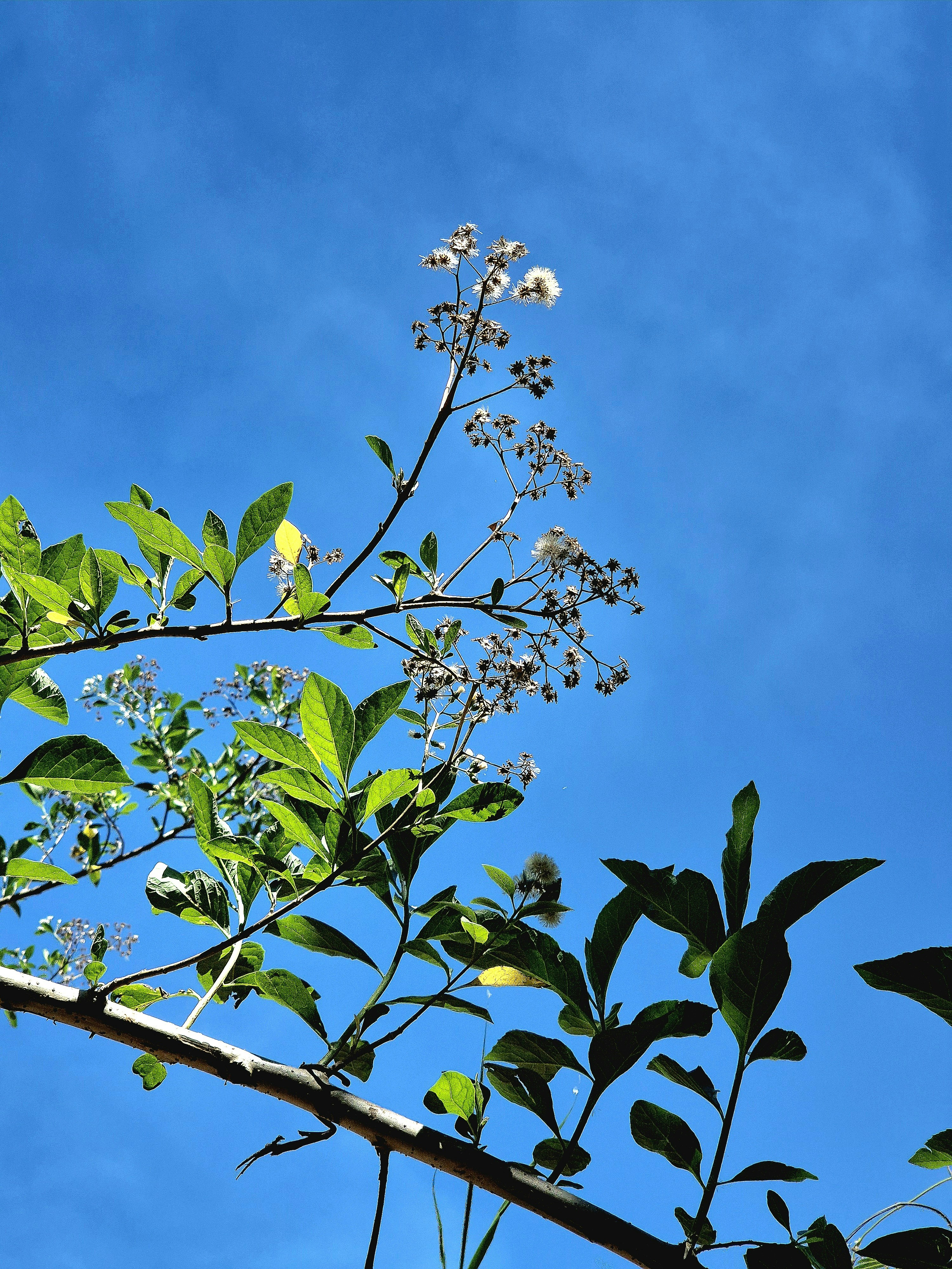 Photo by quaninthejungle