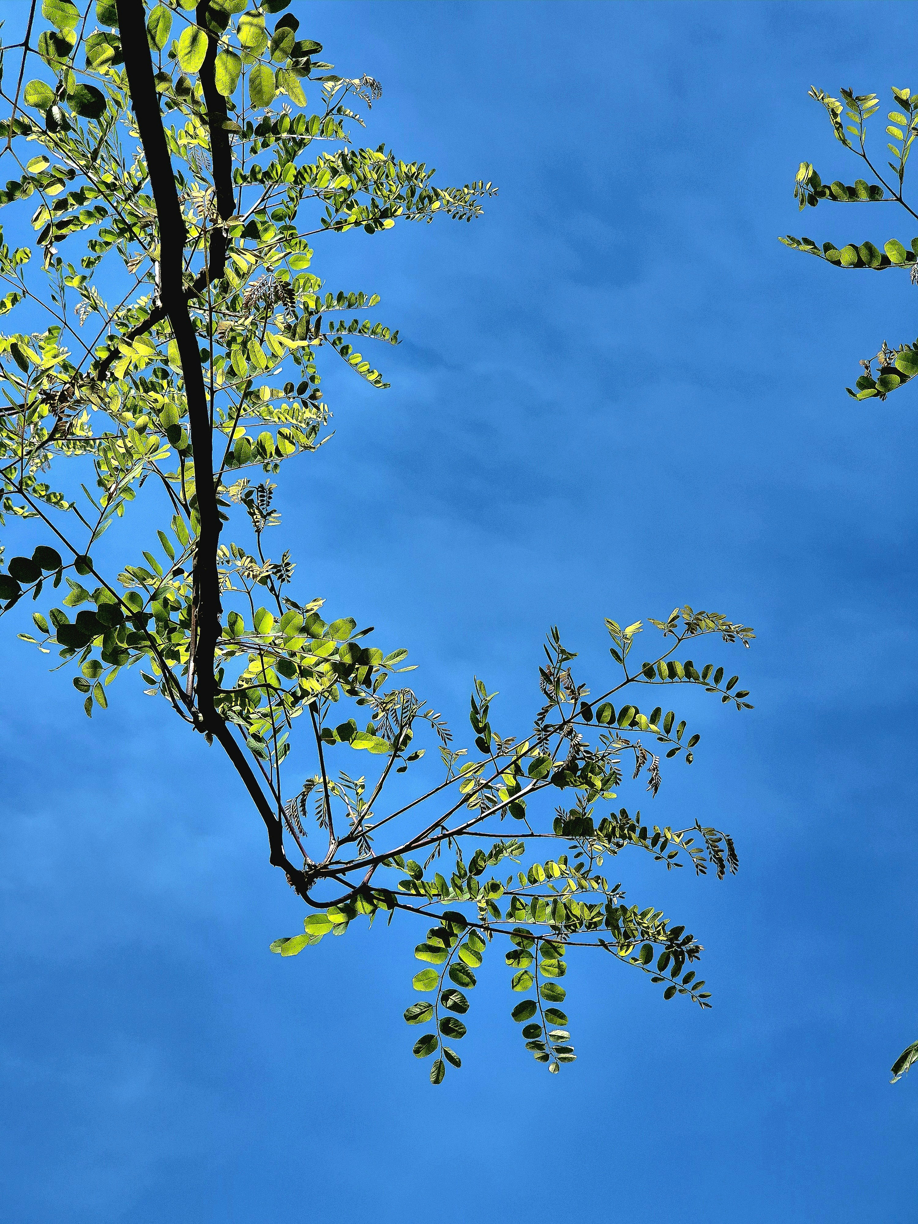 Photo by quaninthejungle