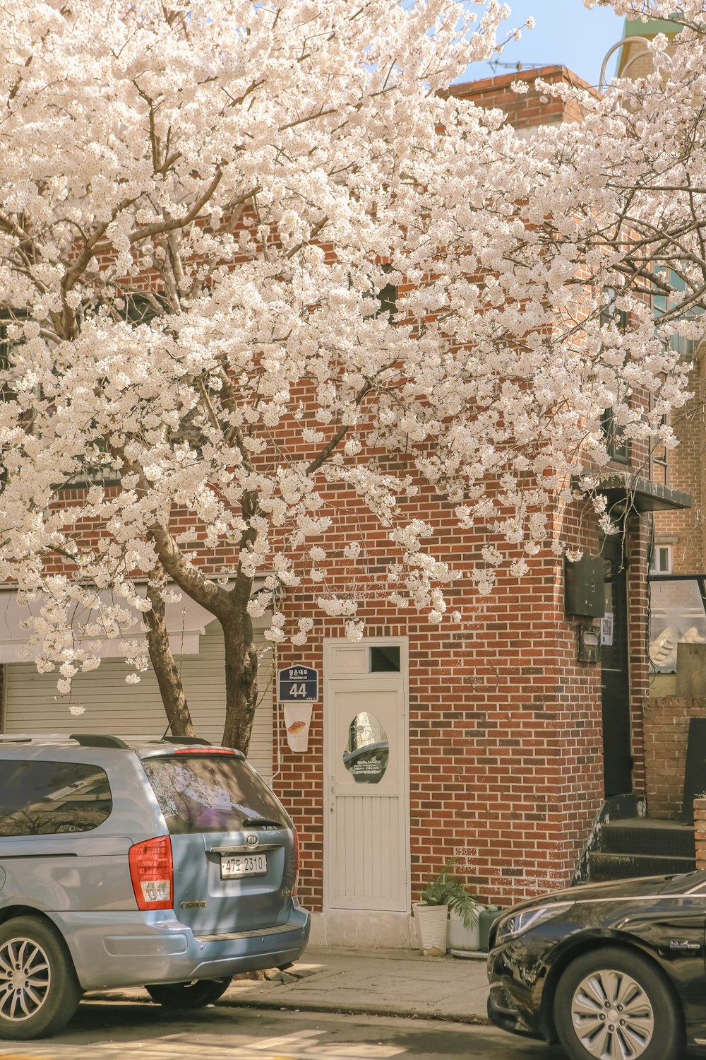 a car parked on the side of a street next to a tree