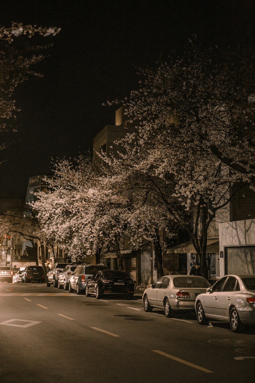 cars parked on the side of the road at night