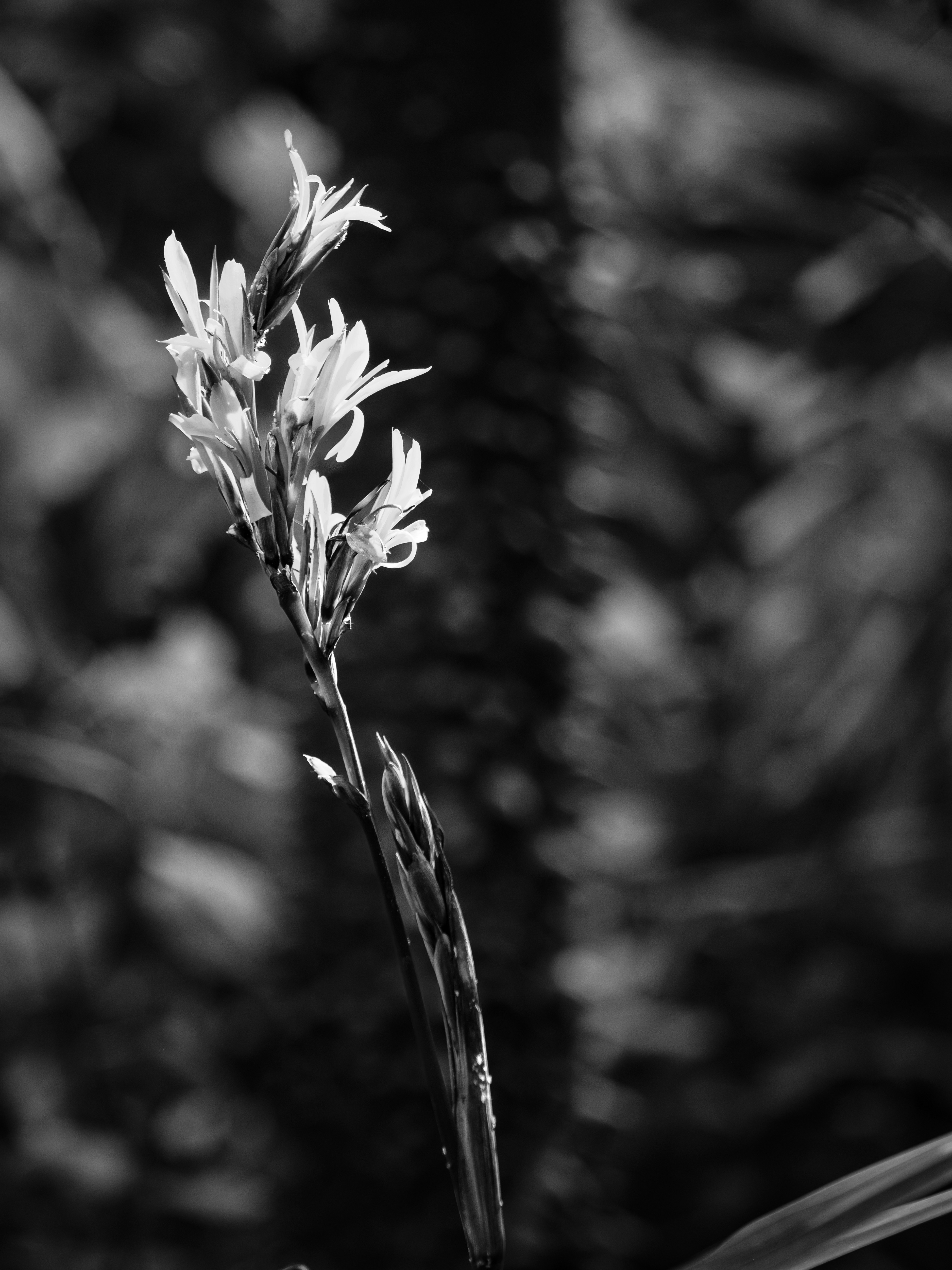 Photo by haberdoedas2