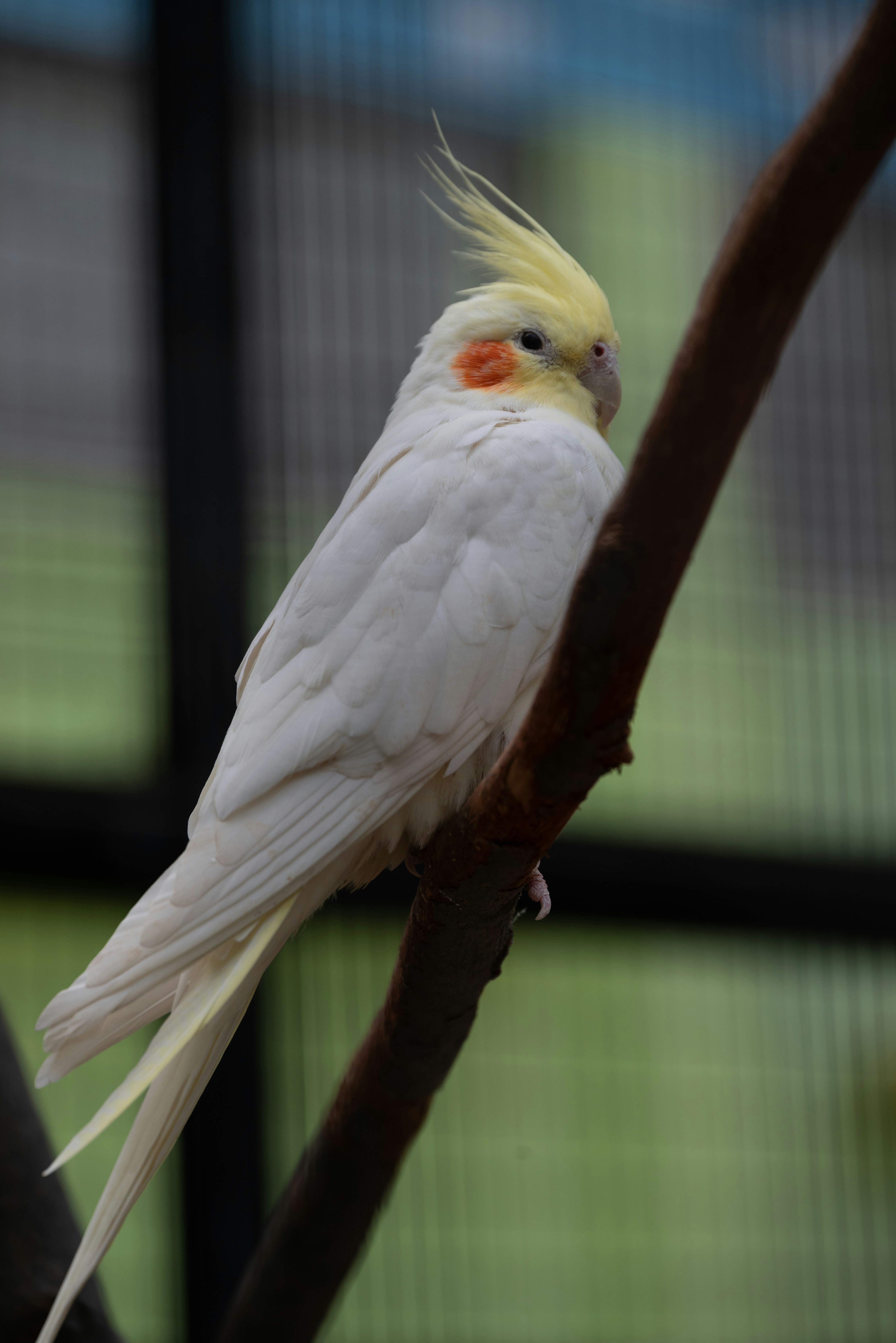 Photo by nikol_royce