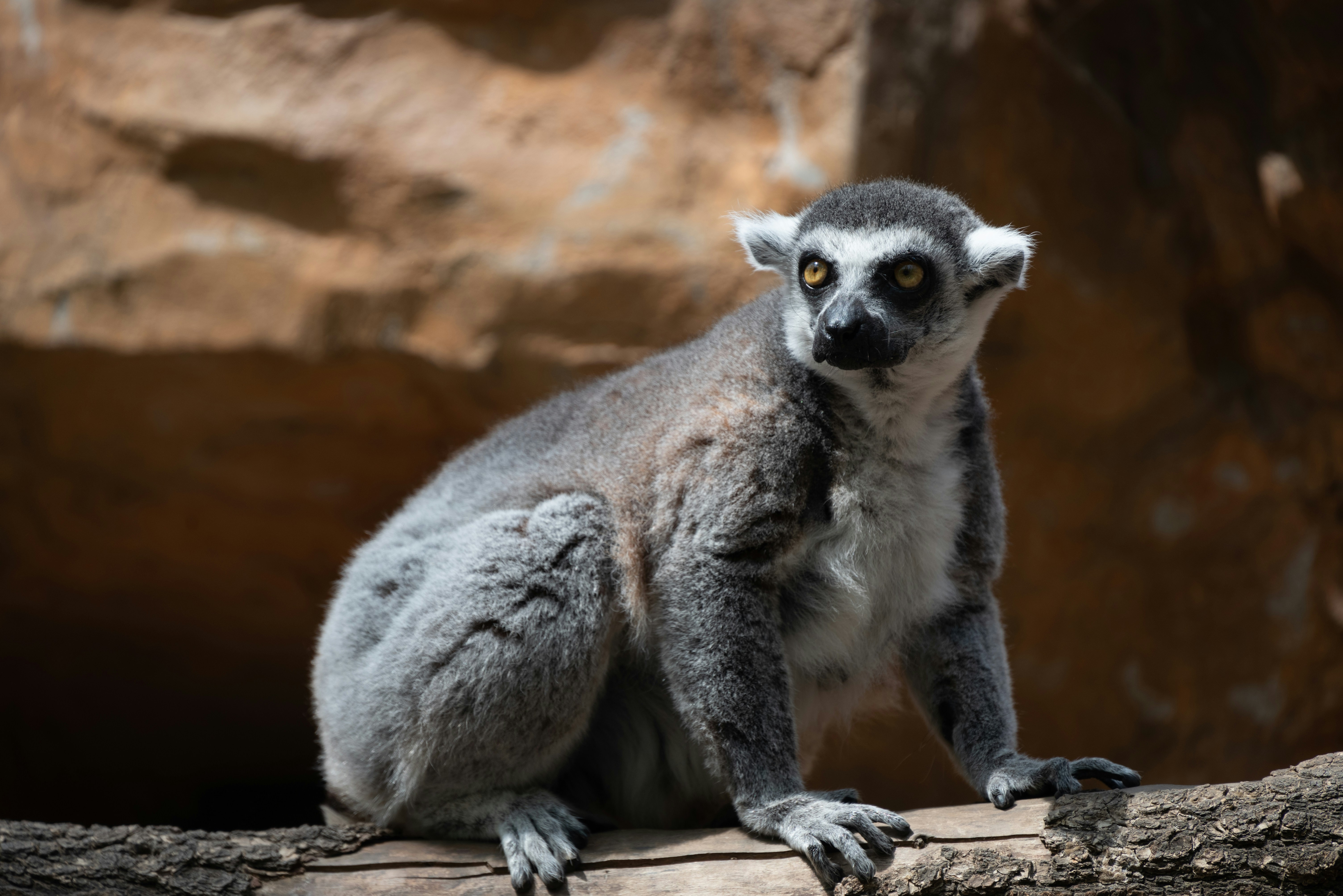 Photo by nikol_royce