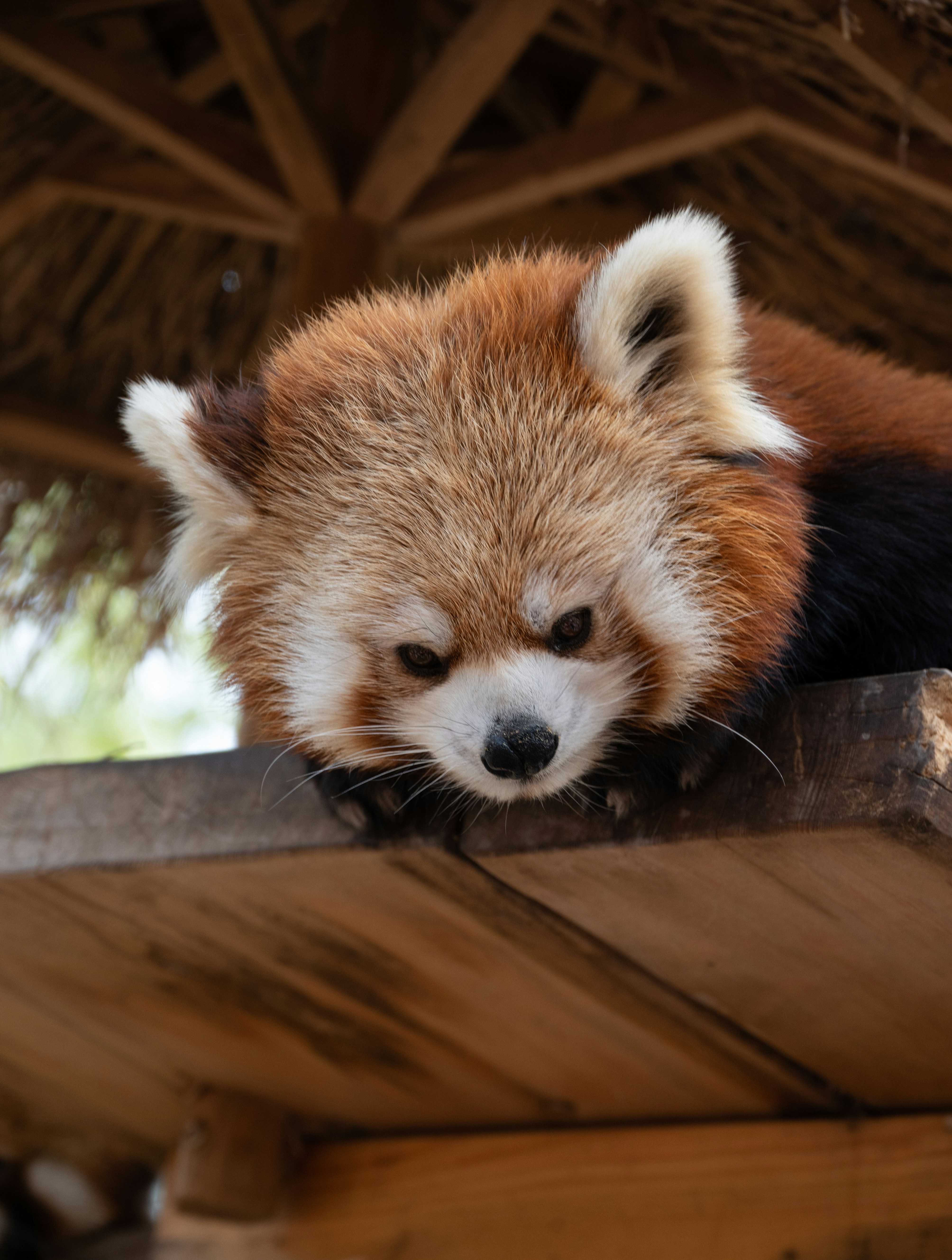 Photo by nikol_royce