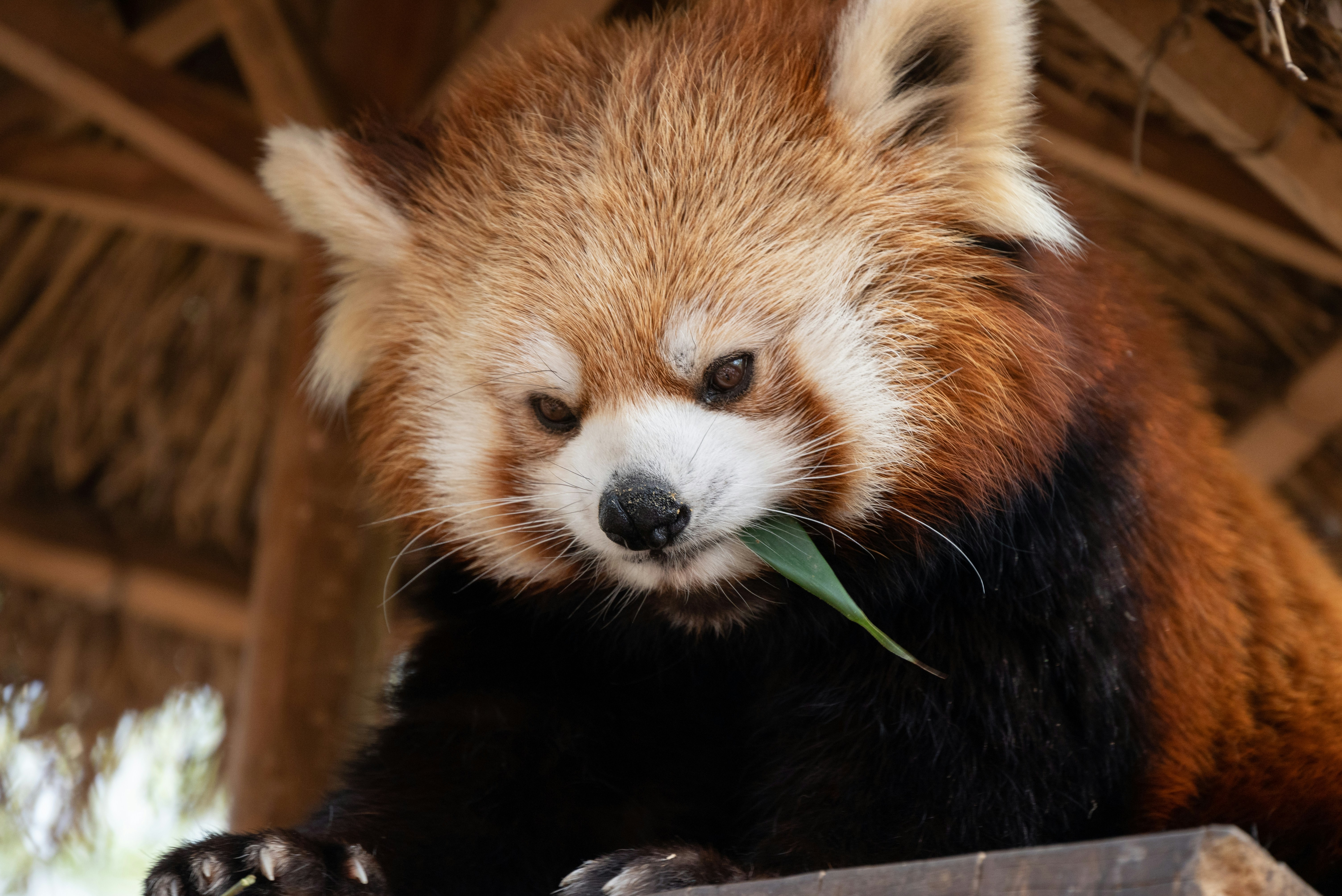 Photo by nikol_royce