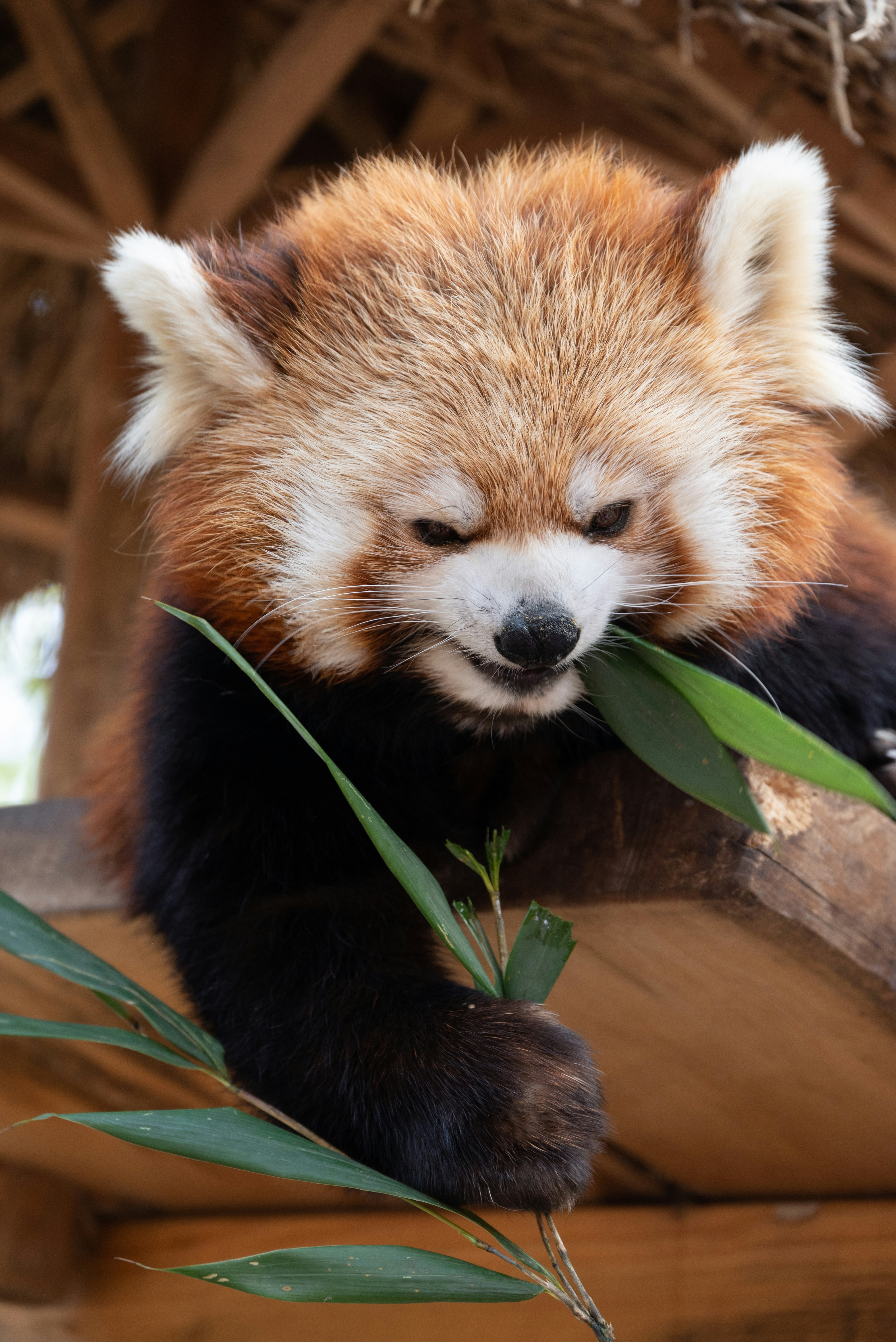 Photo by nikol_royce