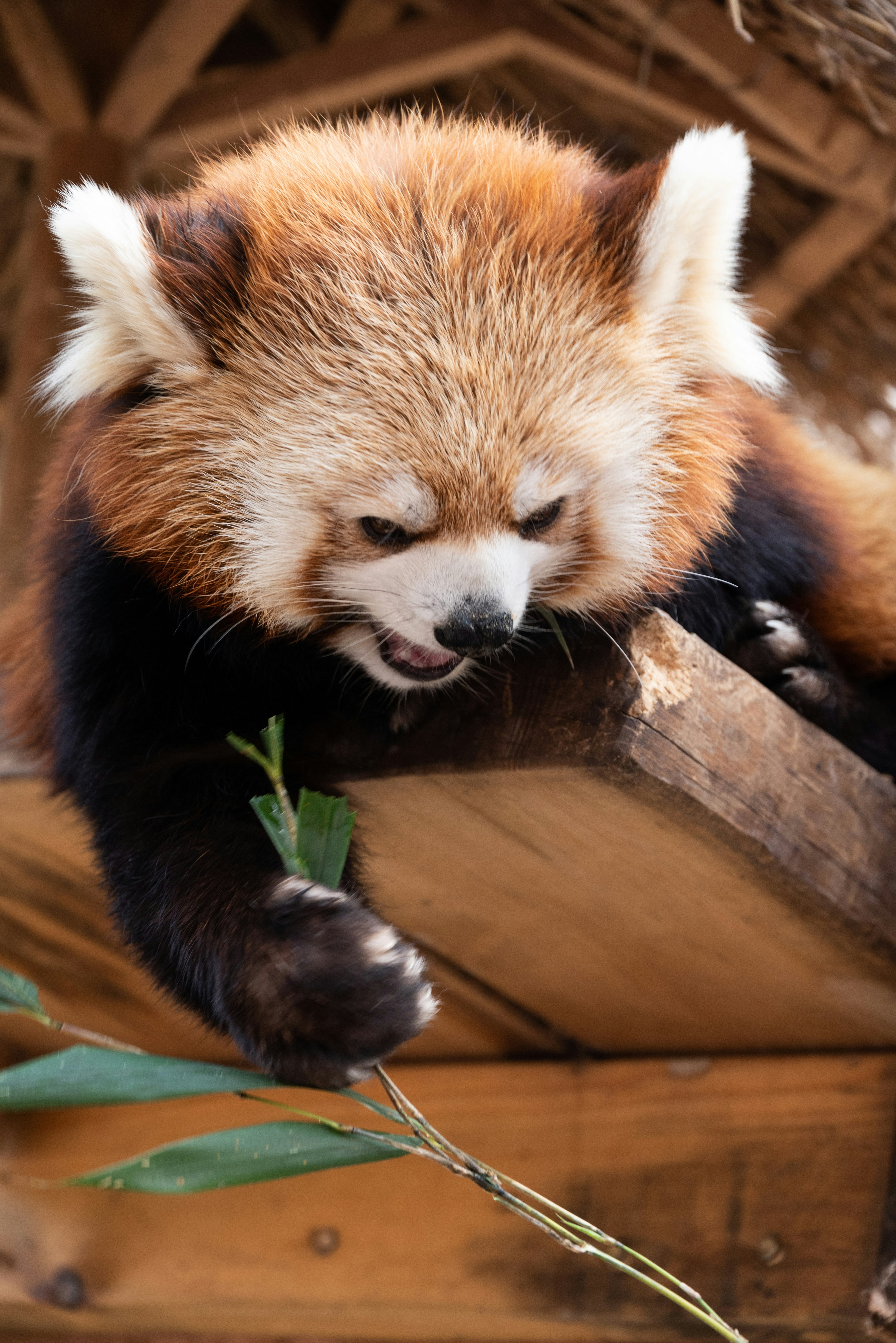 Photo by nikol_royce