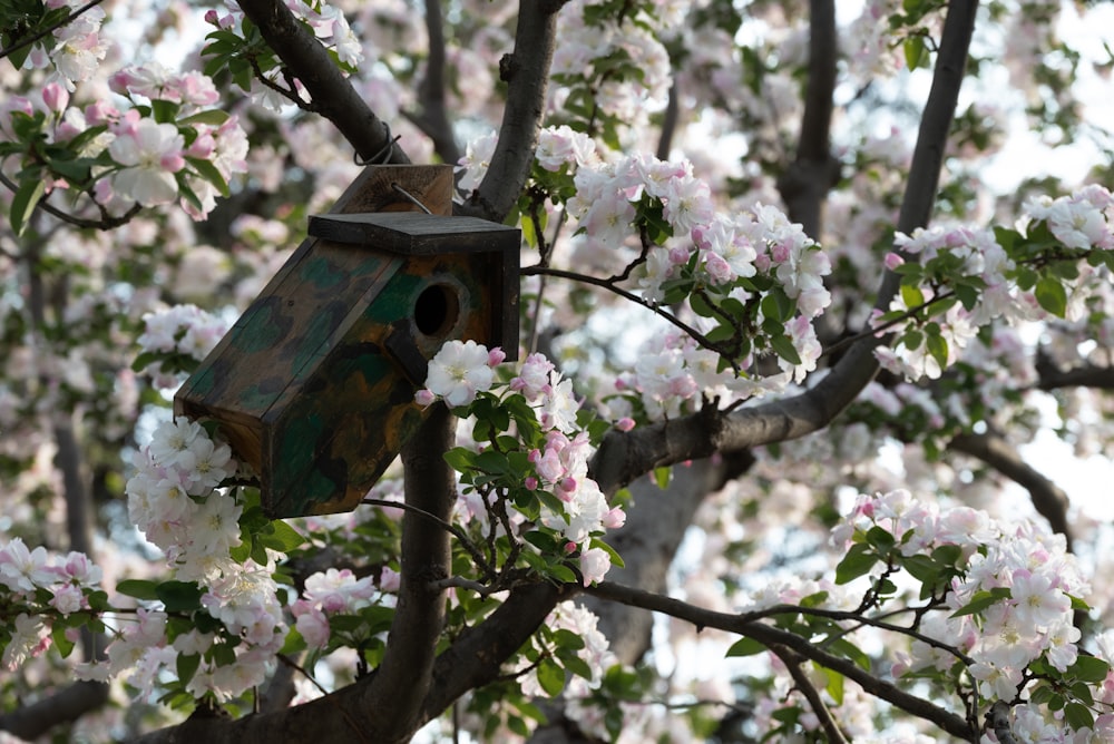 a birdhouse hanging from a tree filled with flowers