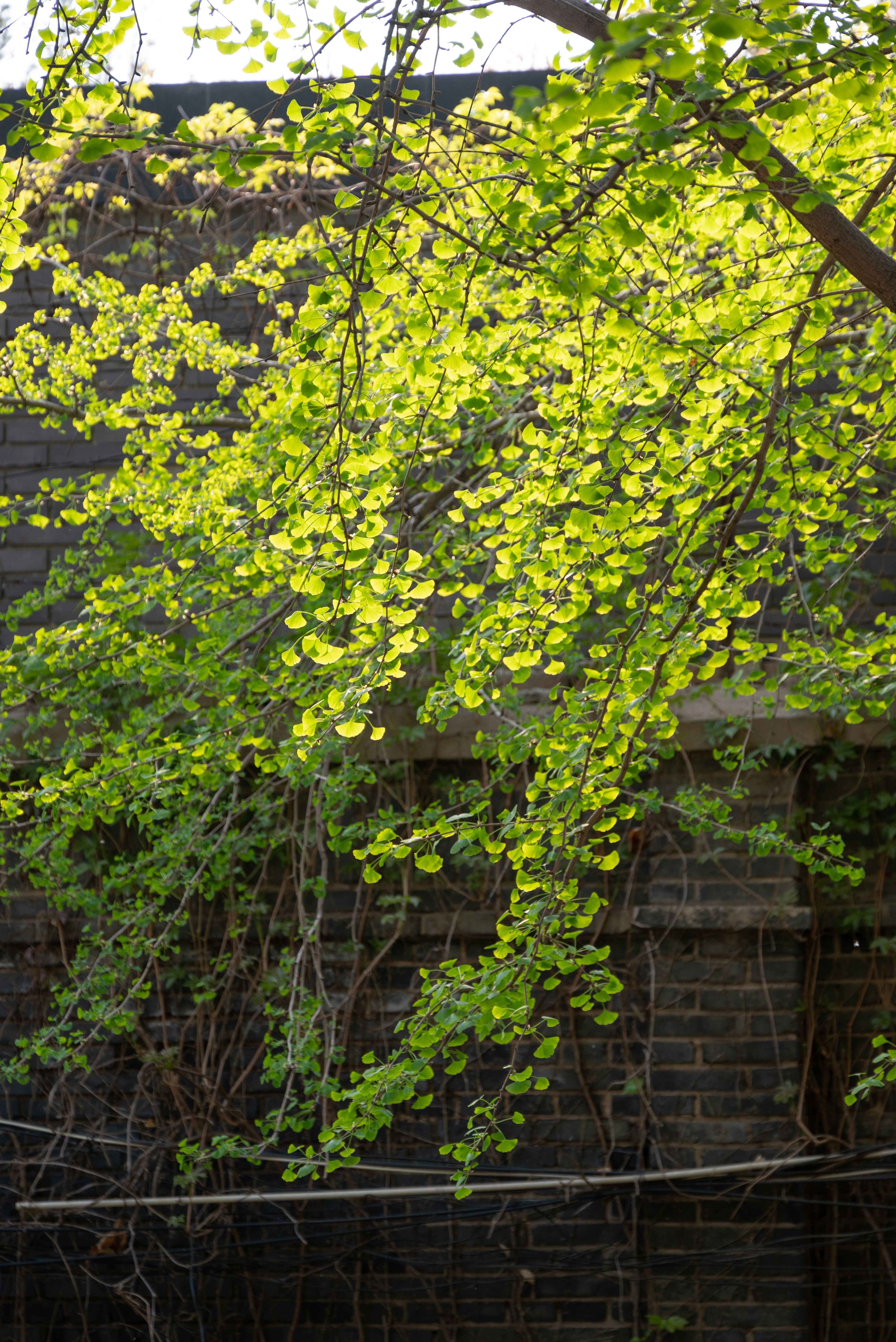 Photo by nikol_royce