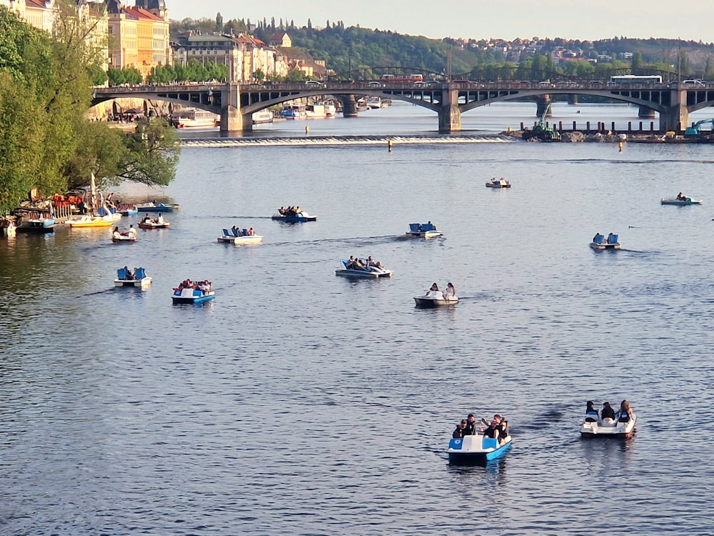 a large body of water with many small boats in it