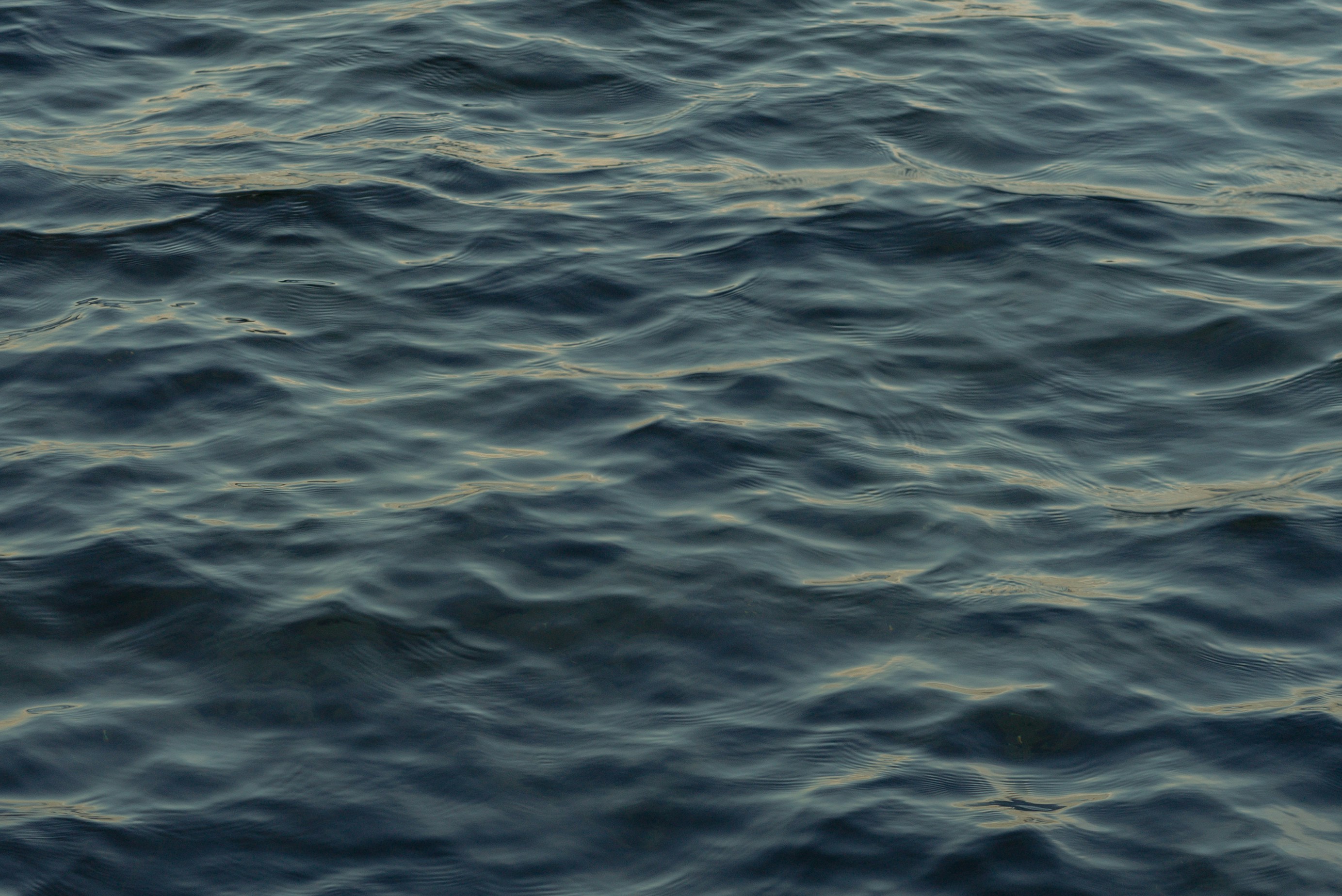 Photo by pixilustration