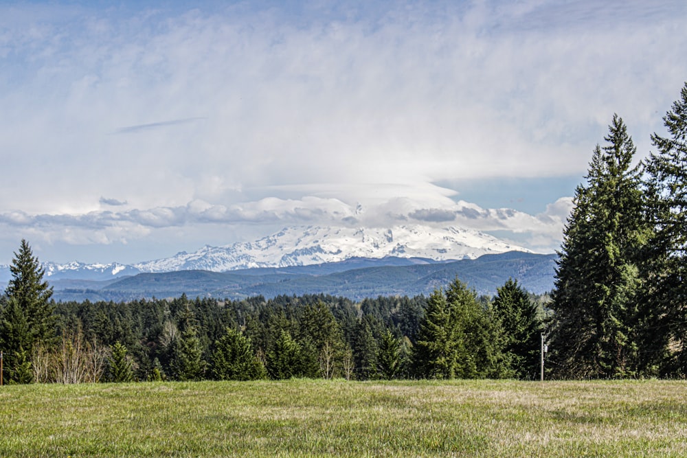 a field with trees and mountains in the background