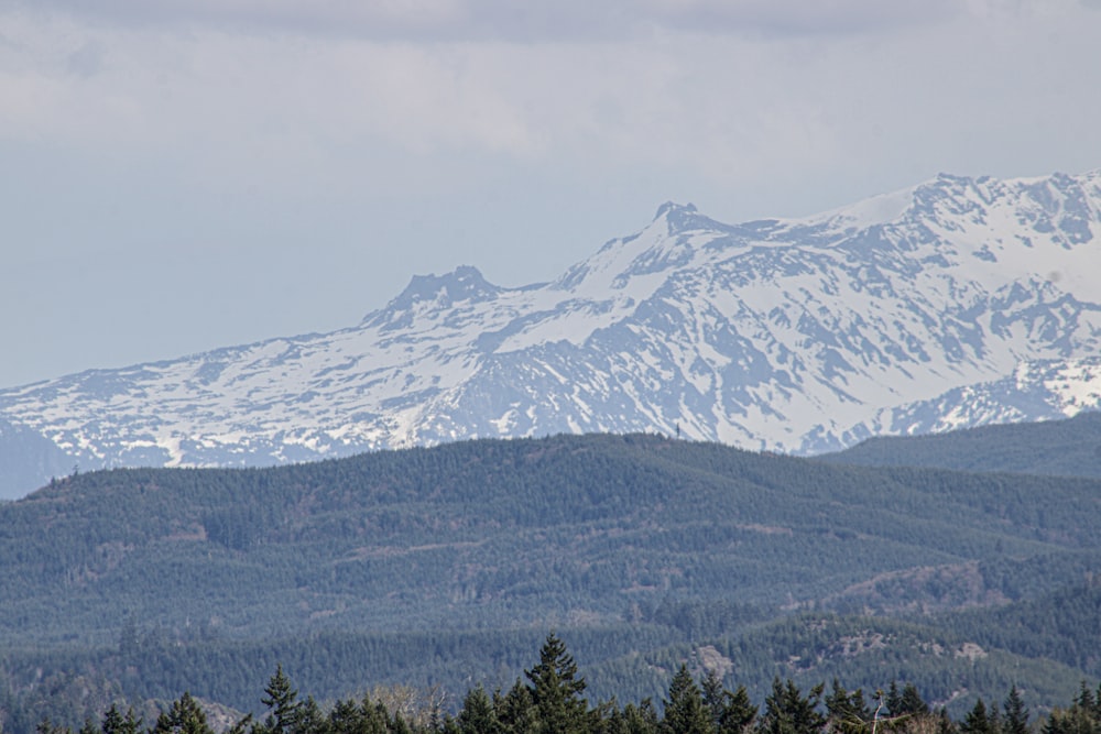 a view of a snowy mountain range with trees in the foreground