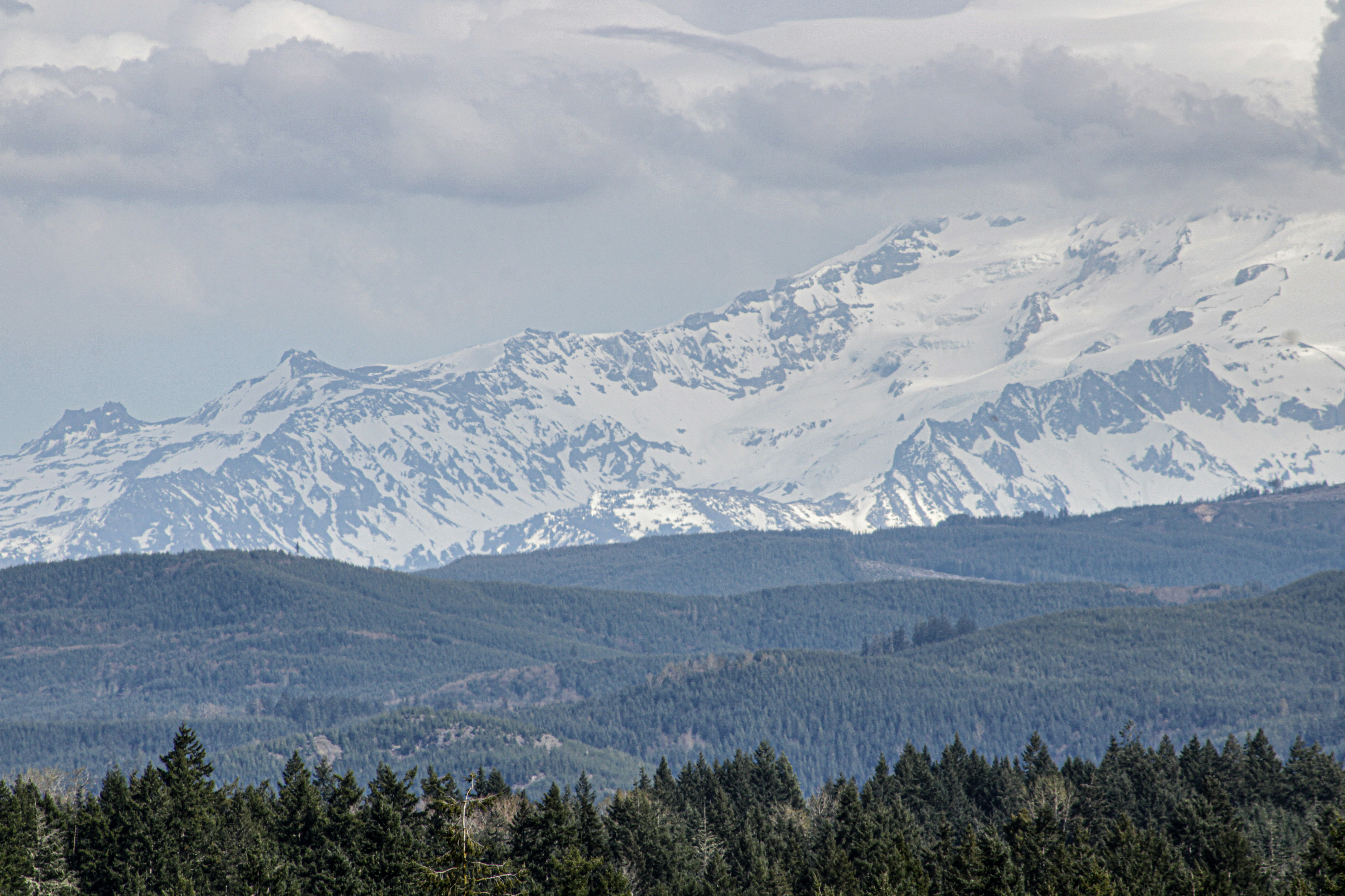 Photo by prphotography262