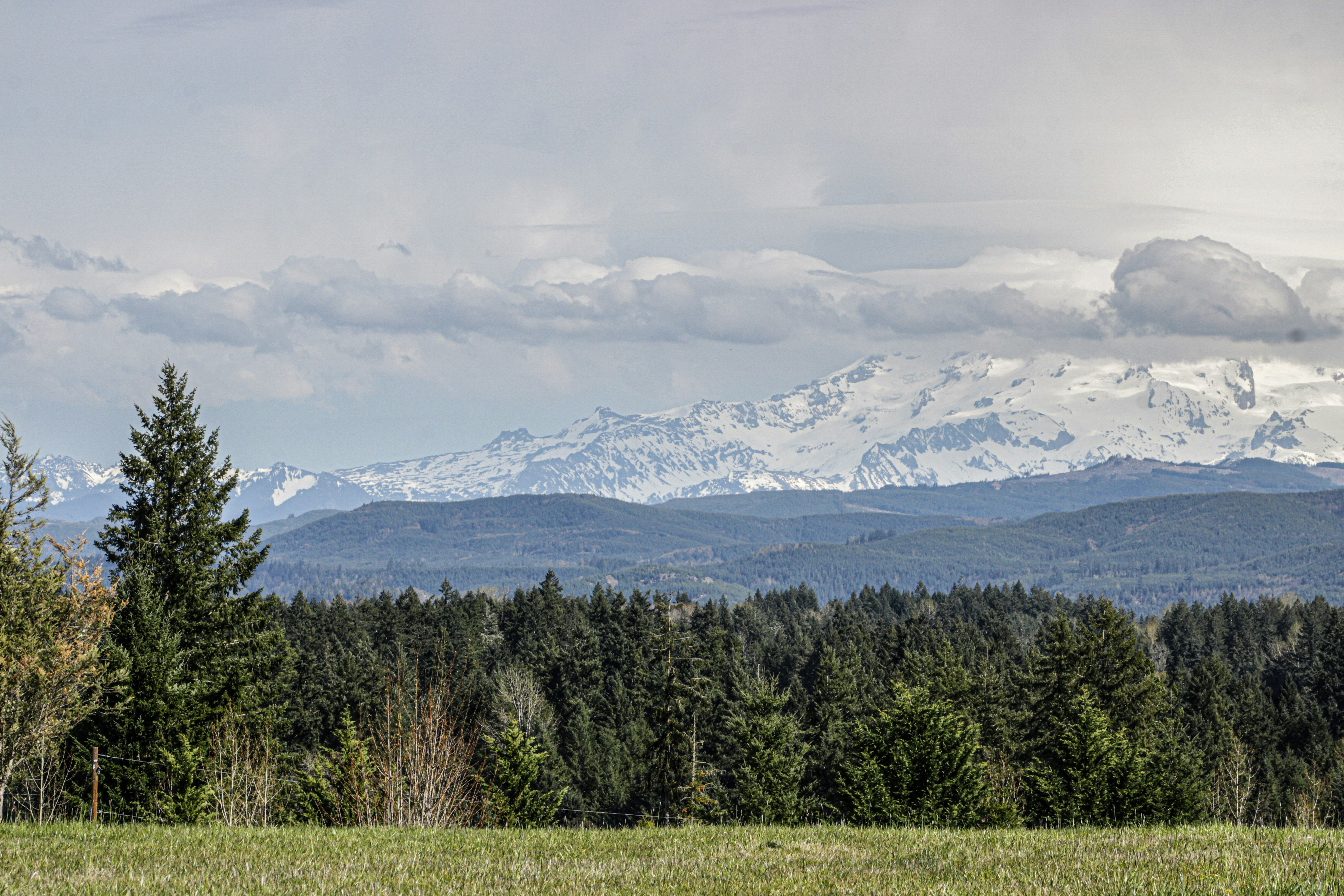 Photo by prphotography262