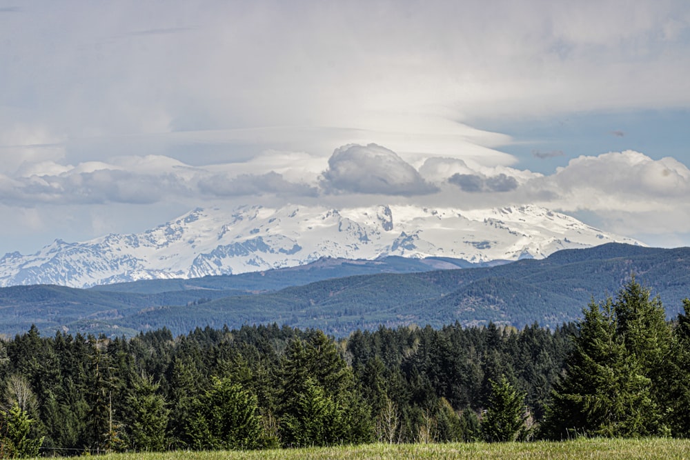 a mountain range with trees in the foreground and a cloudy sky in the background