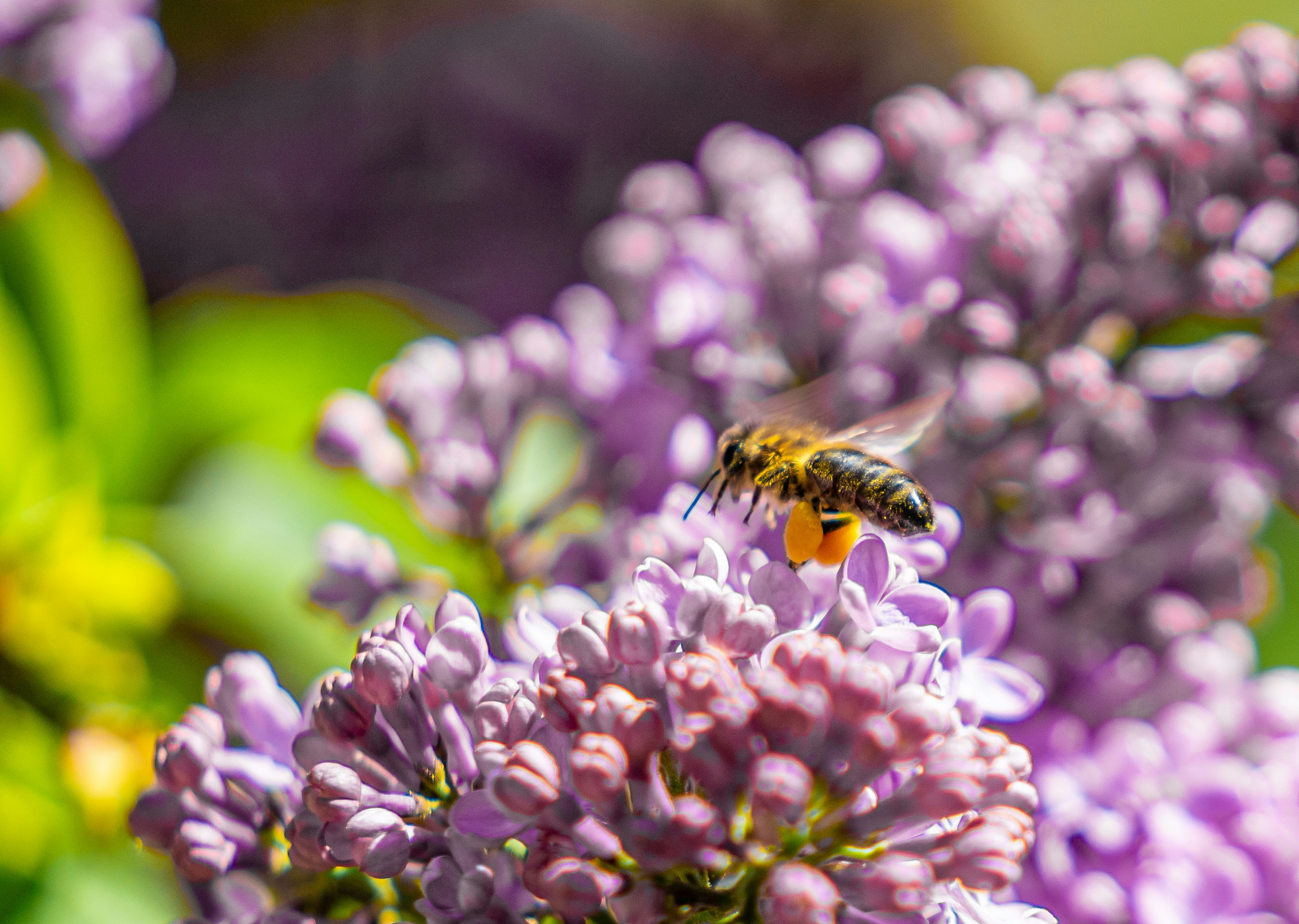 Photo by sarasgalerie