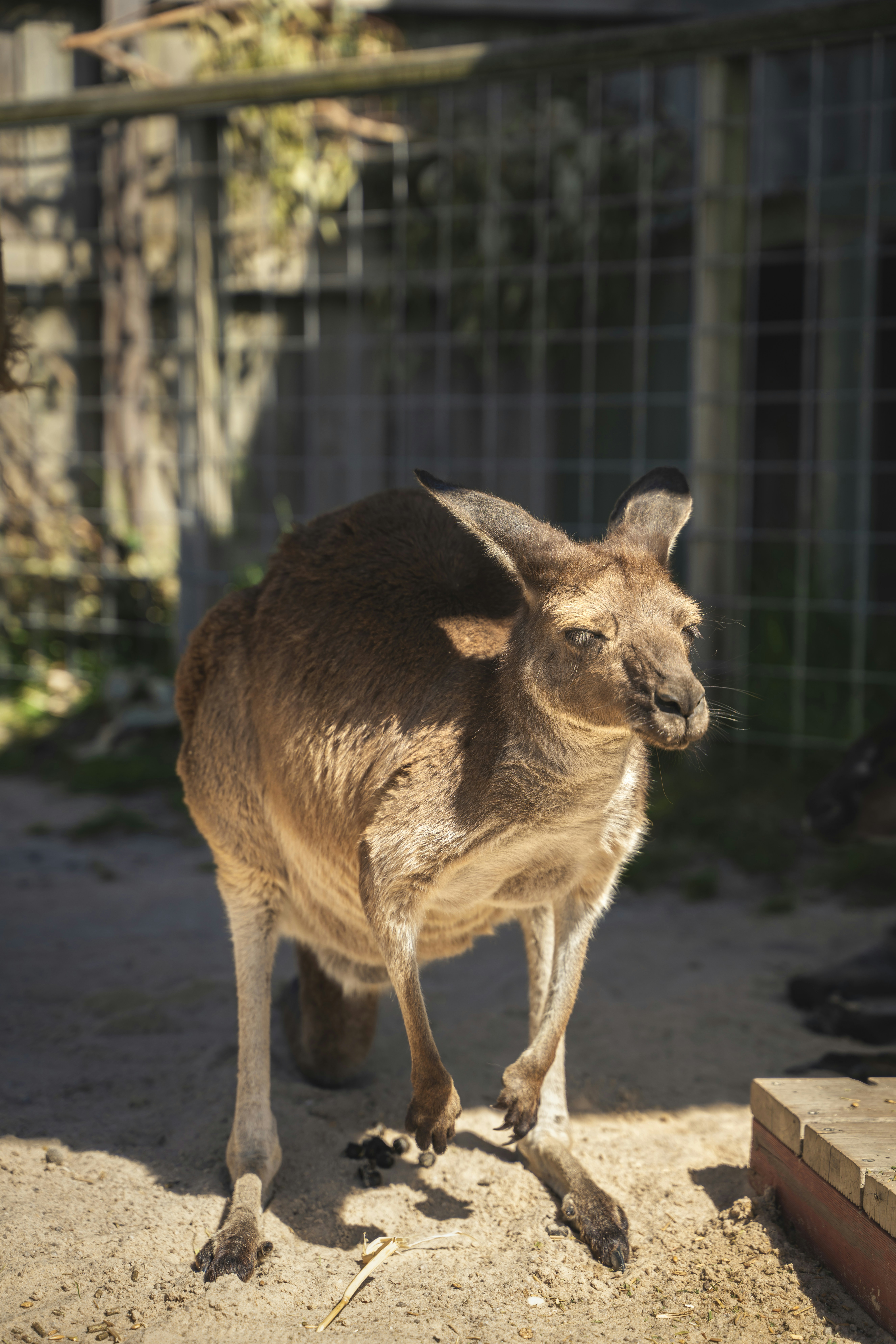 Photo by superxcalvin