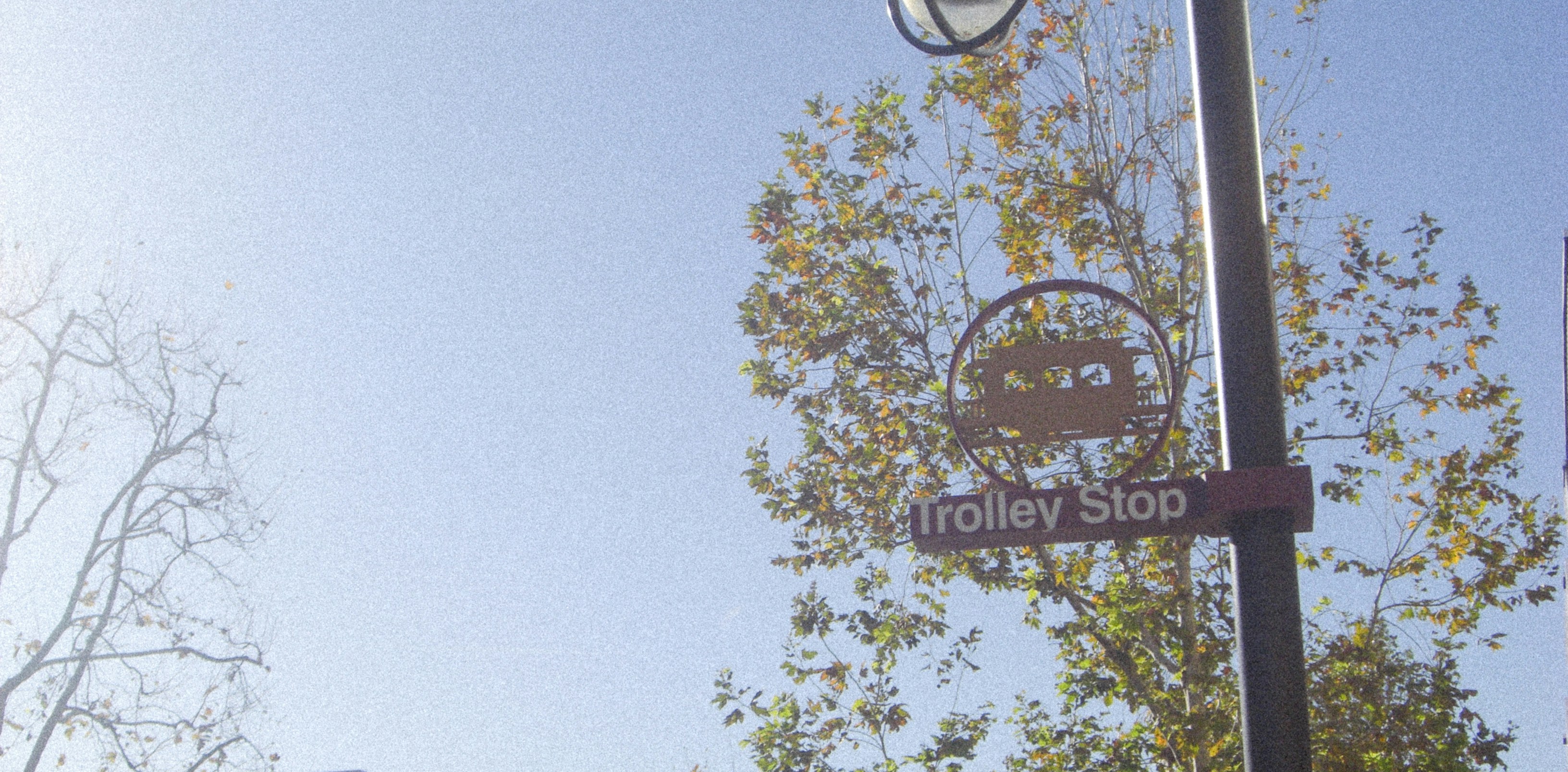 Photo by southcypress