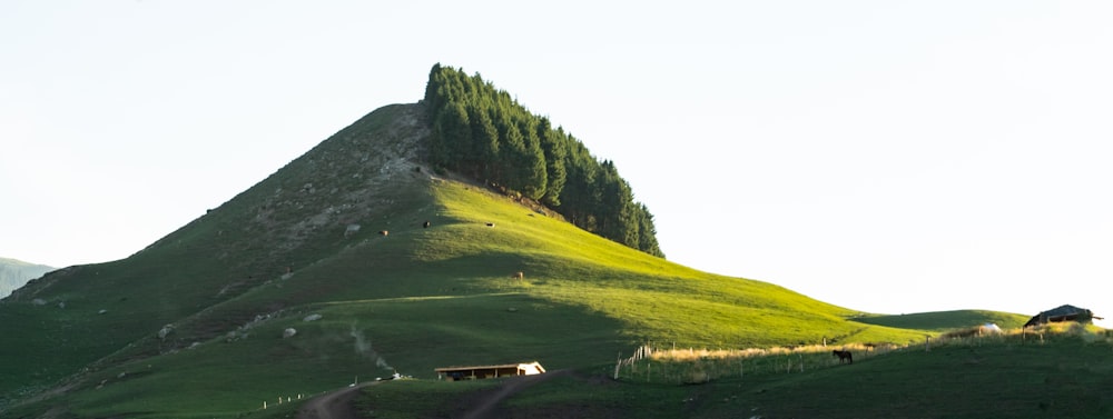 ein grasbewachsener Hügel mit einem Haus auf der Spitze