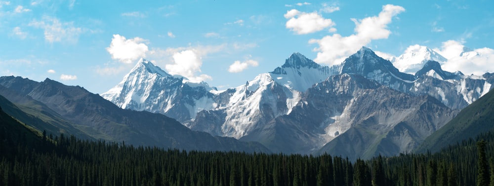 a view of a mountain range with trees in the foreground