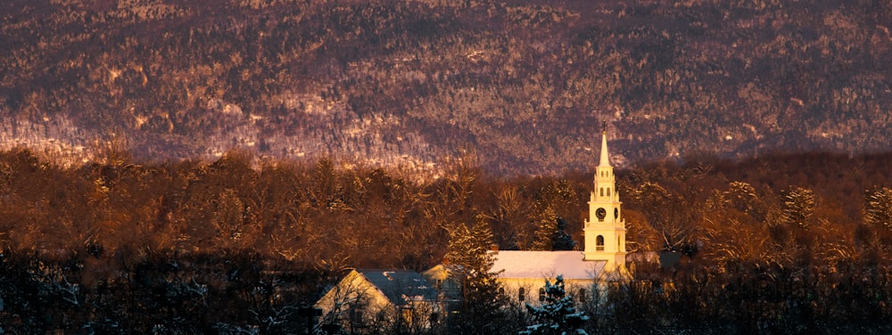 a church with a steeple surrounded by trees