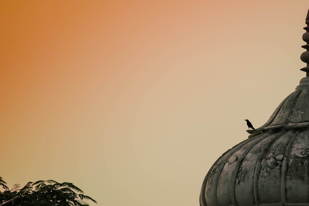 a bird is sitting on top of a building