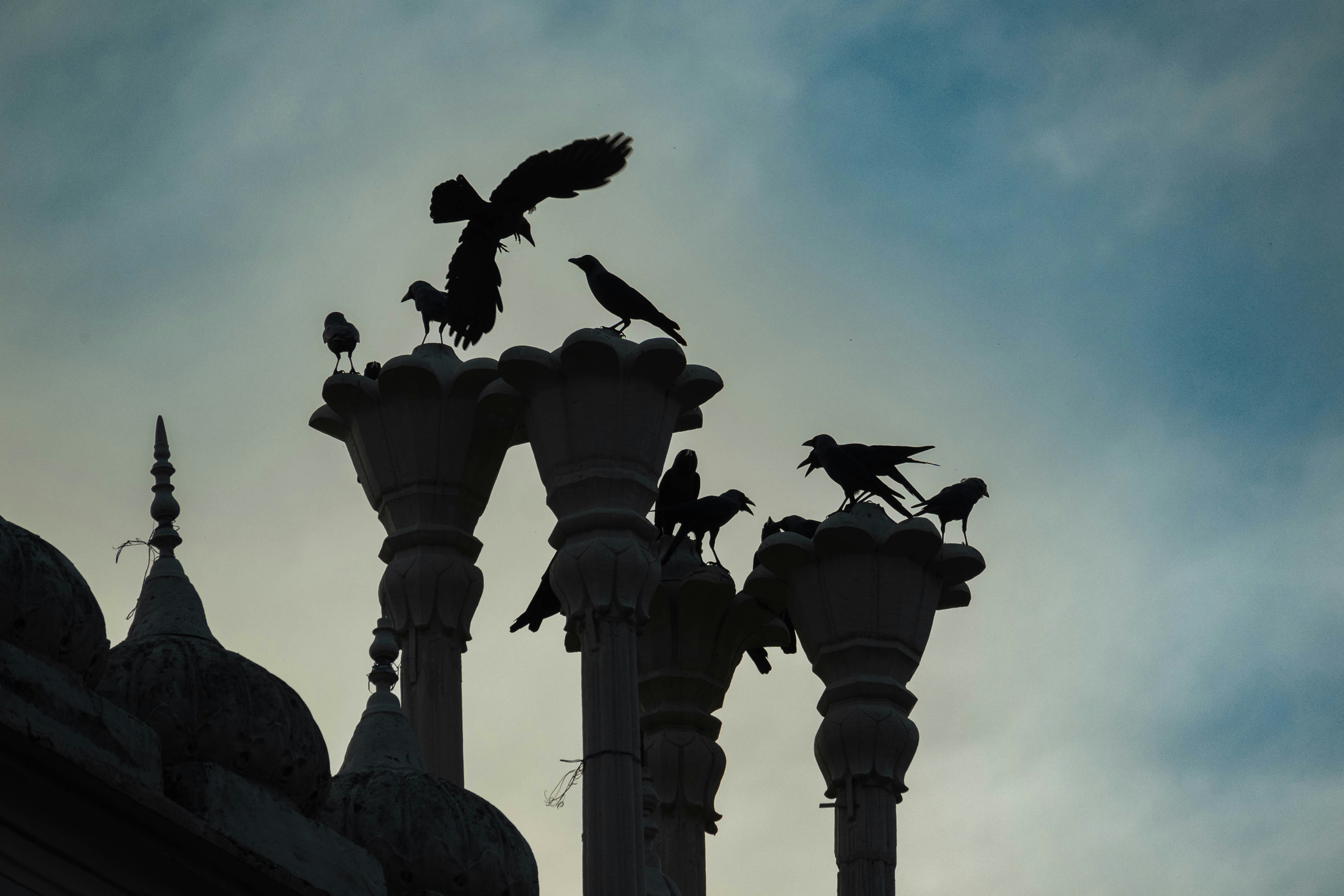 Photo by faheem_2911