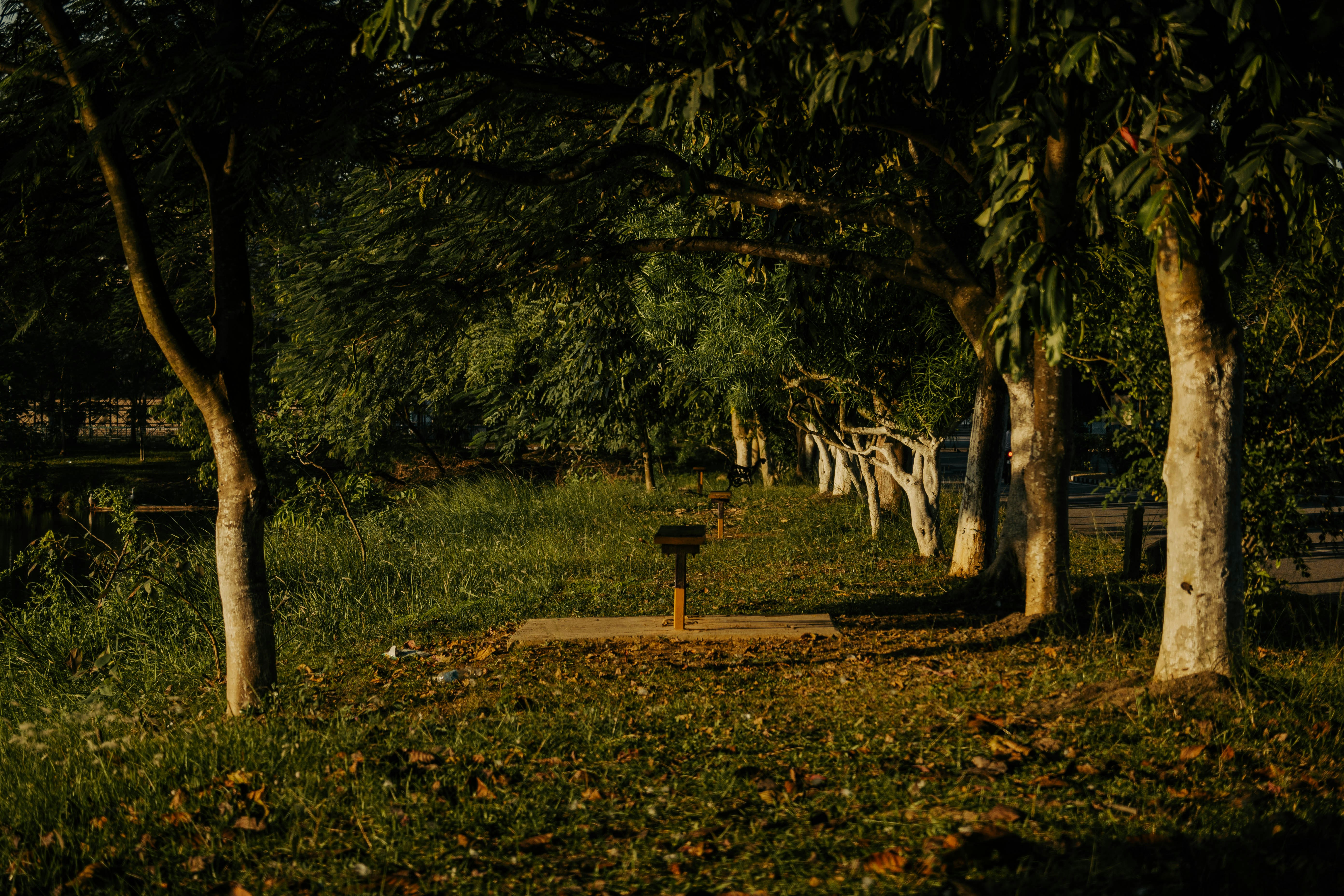 Photo by faheem_2911