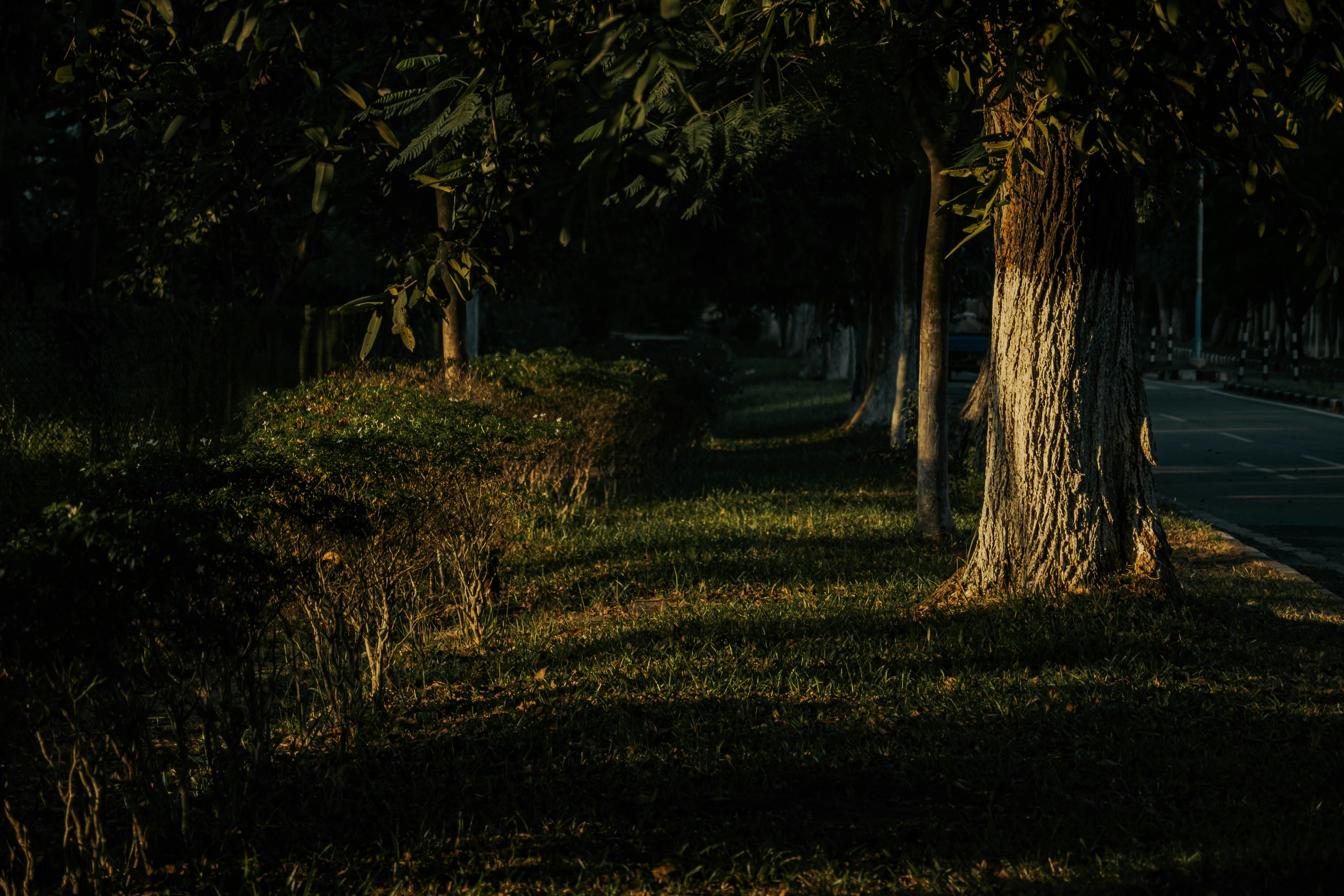 Photo by faheem_2911