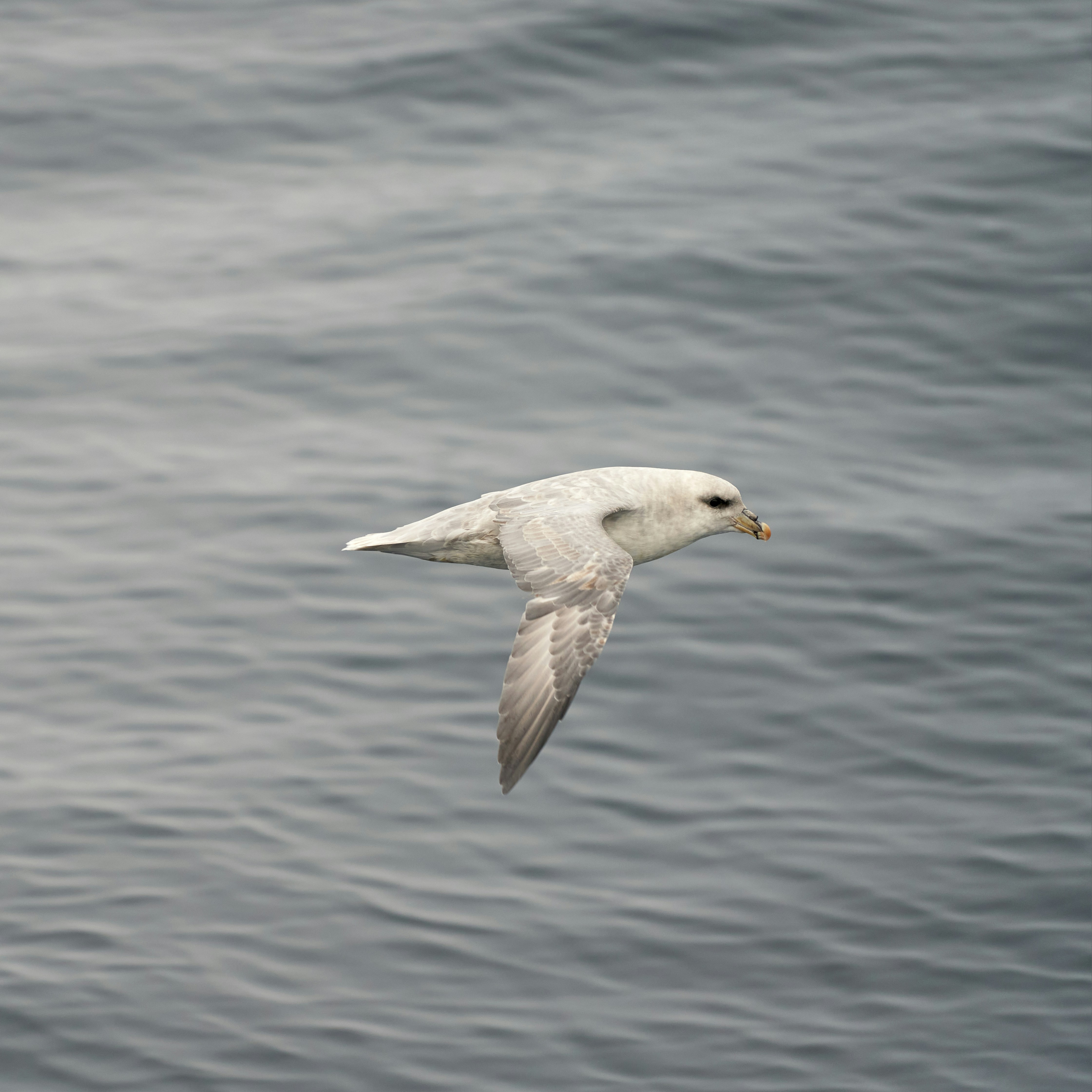 Photo by davotibarna