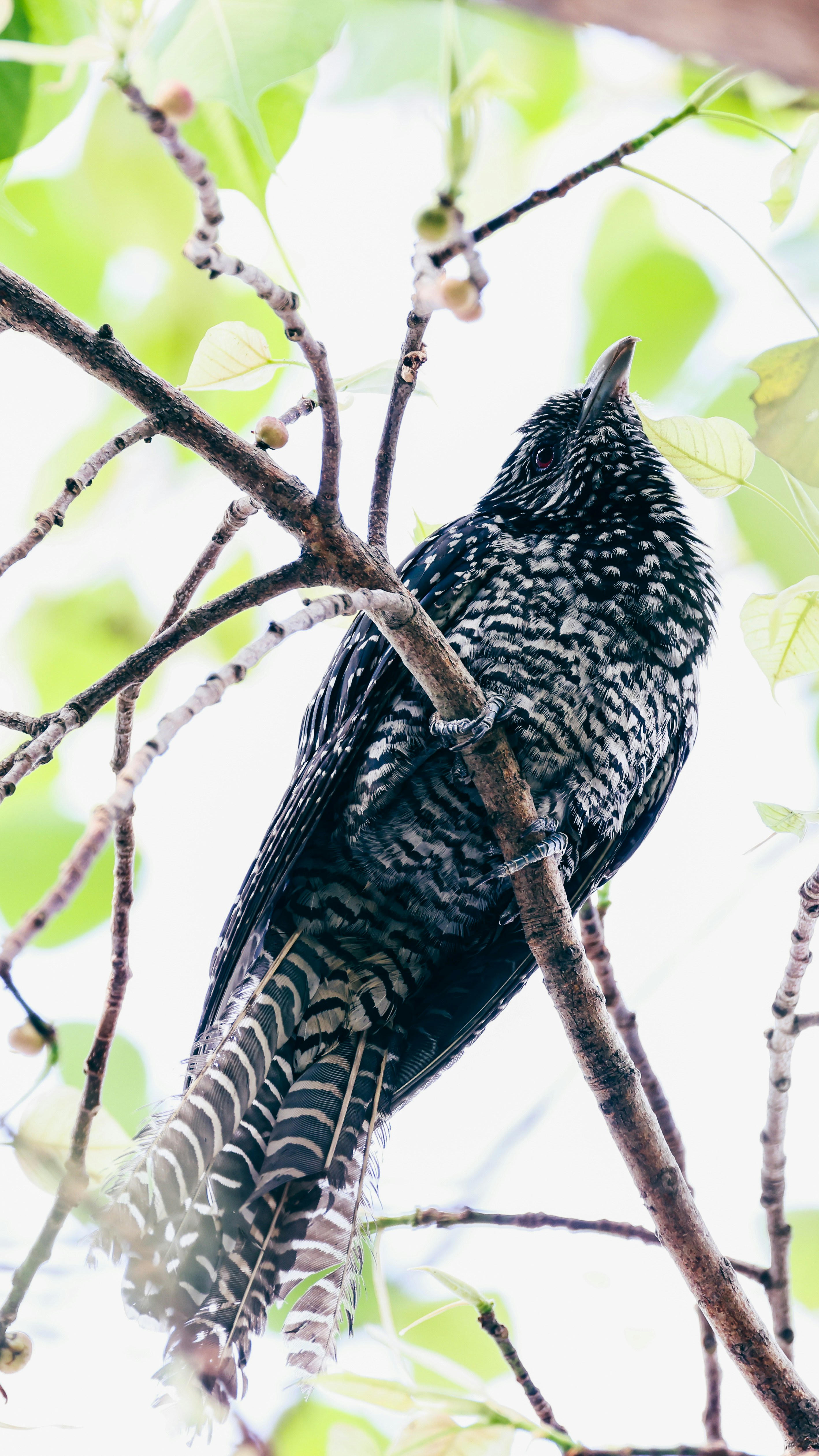 Photo by dickenslin76