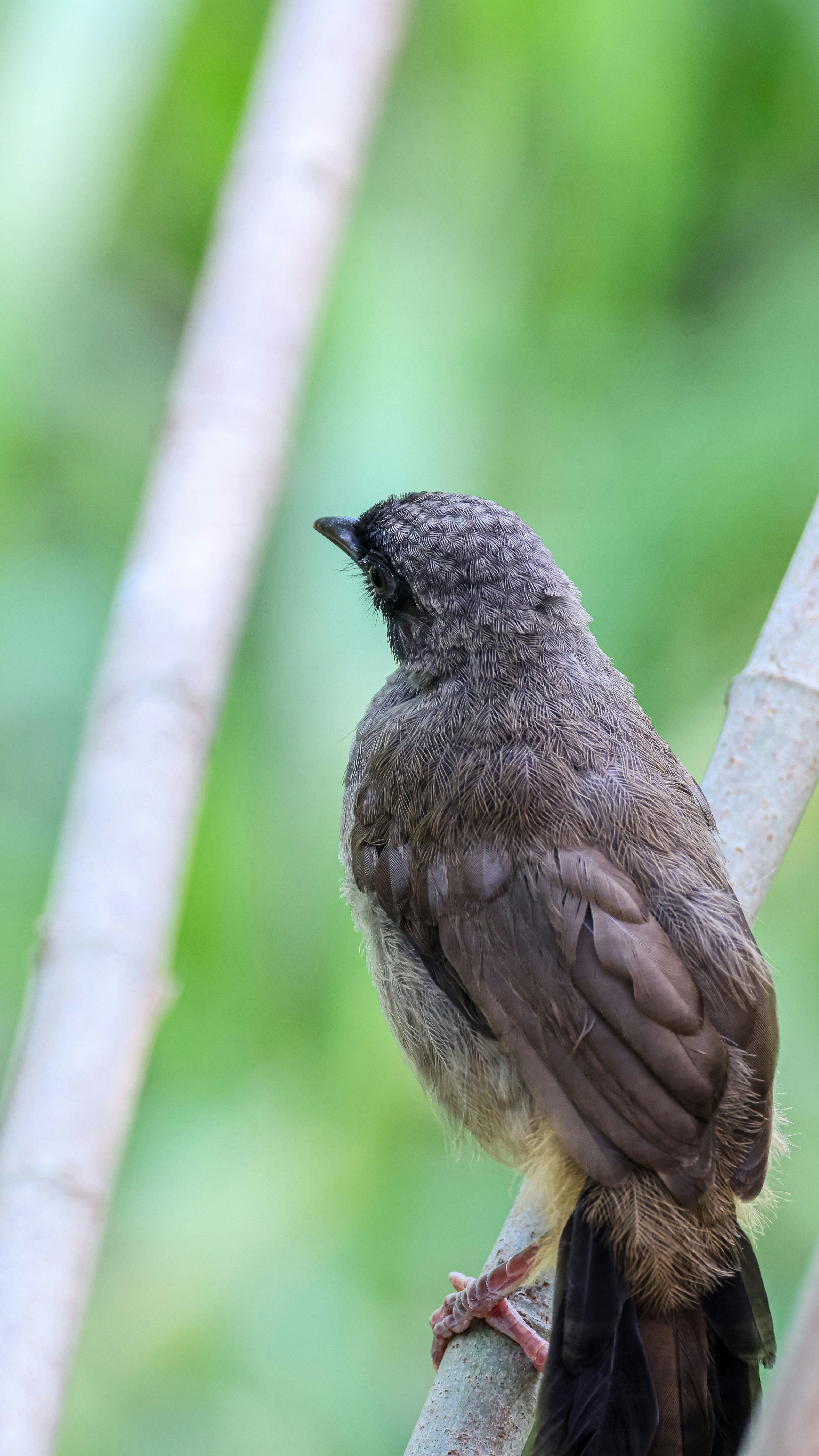 Photo by dickenslin76