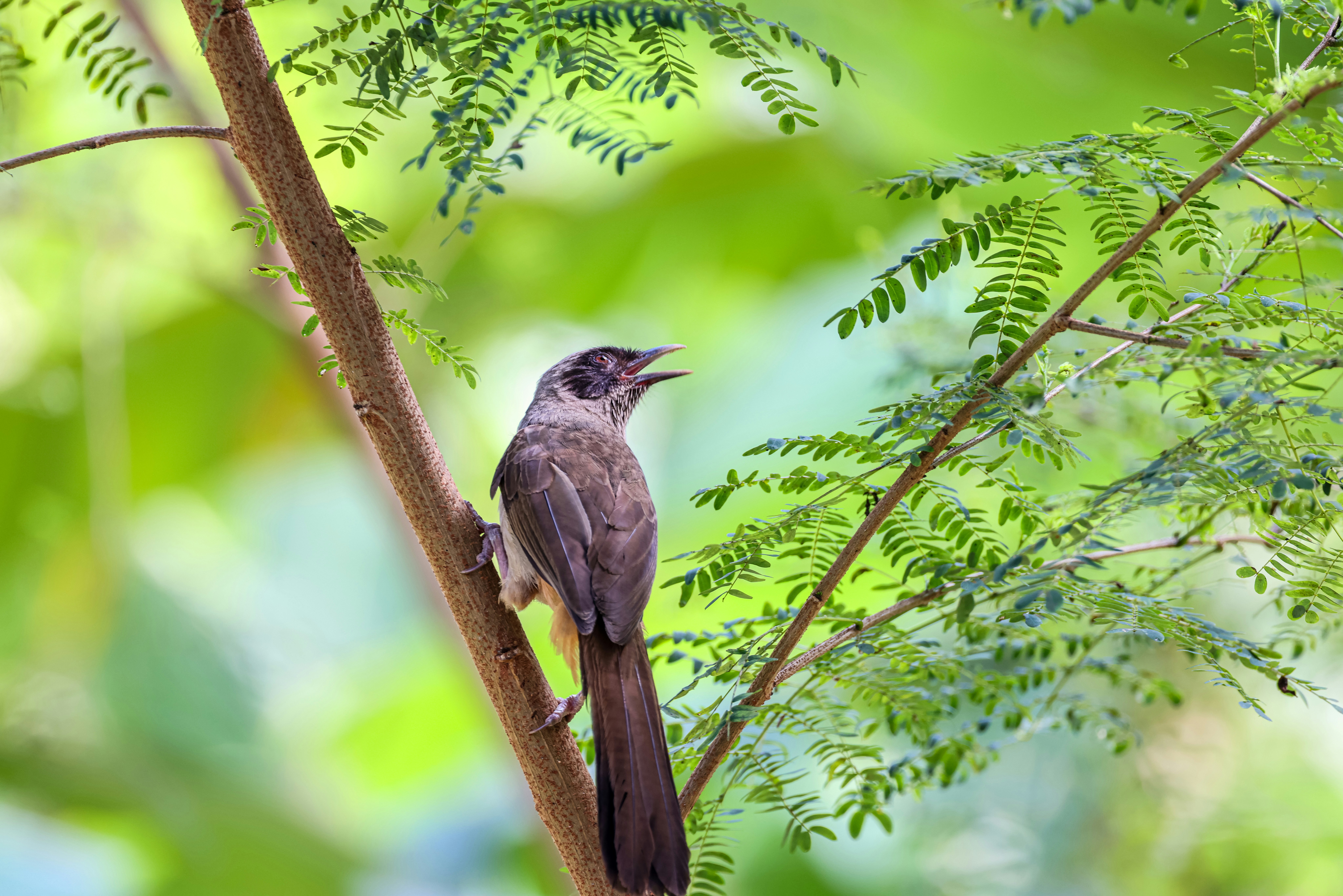 Photo by dickenslin76