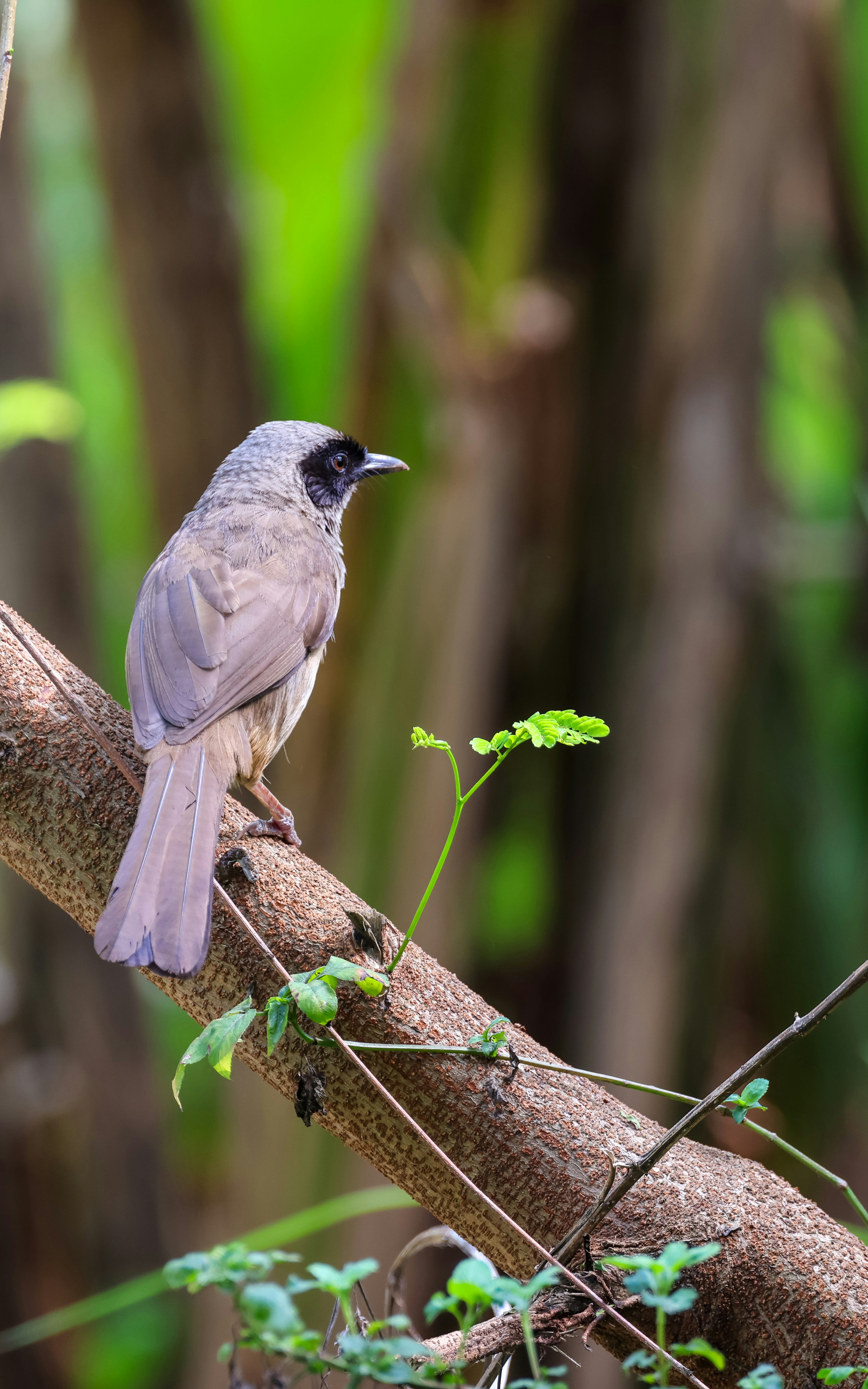 Photo by dickenslin76