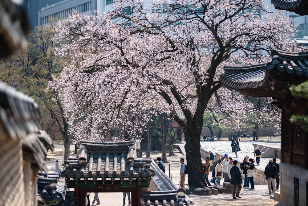 a group of people standing around a tree in a park