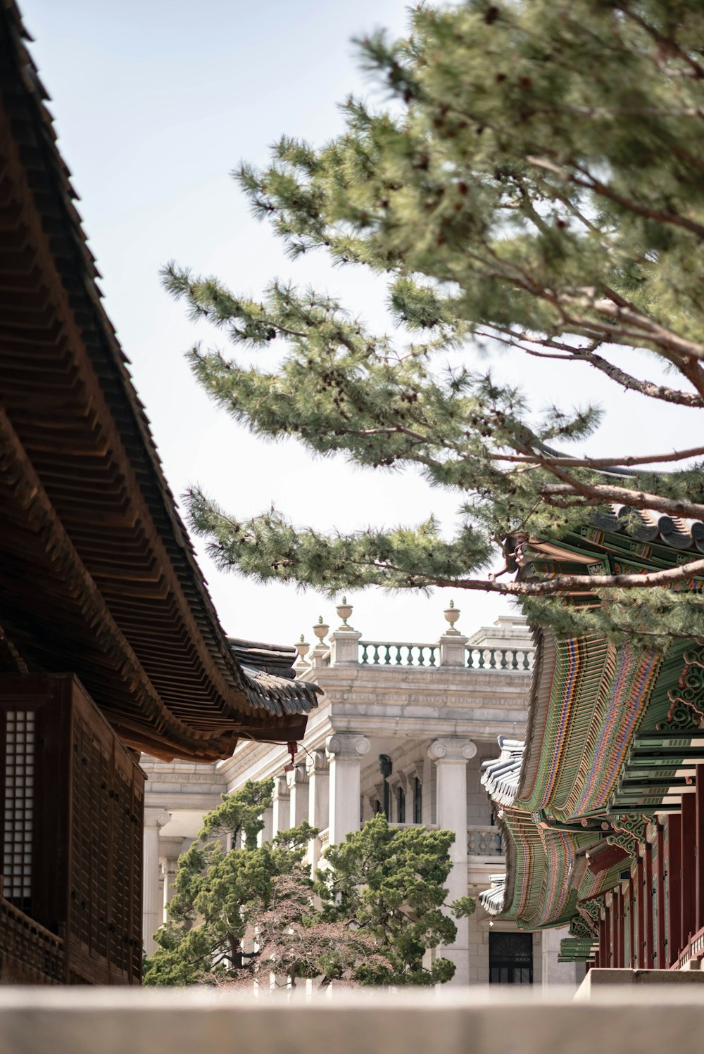 a view of a building with a tree in the foreground