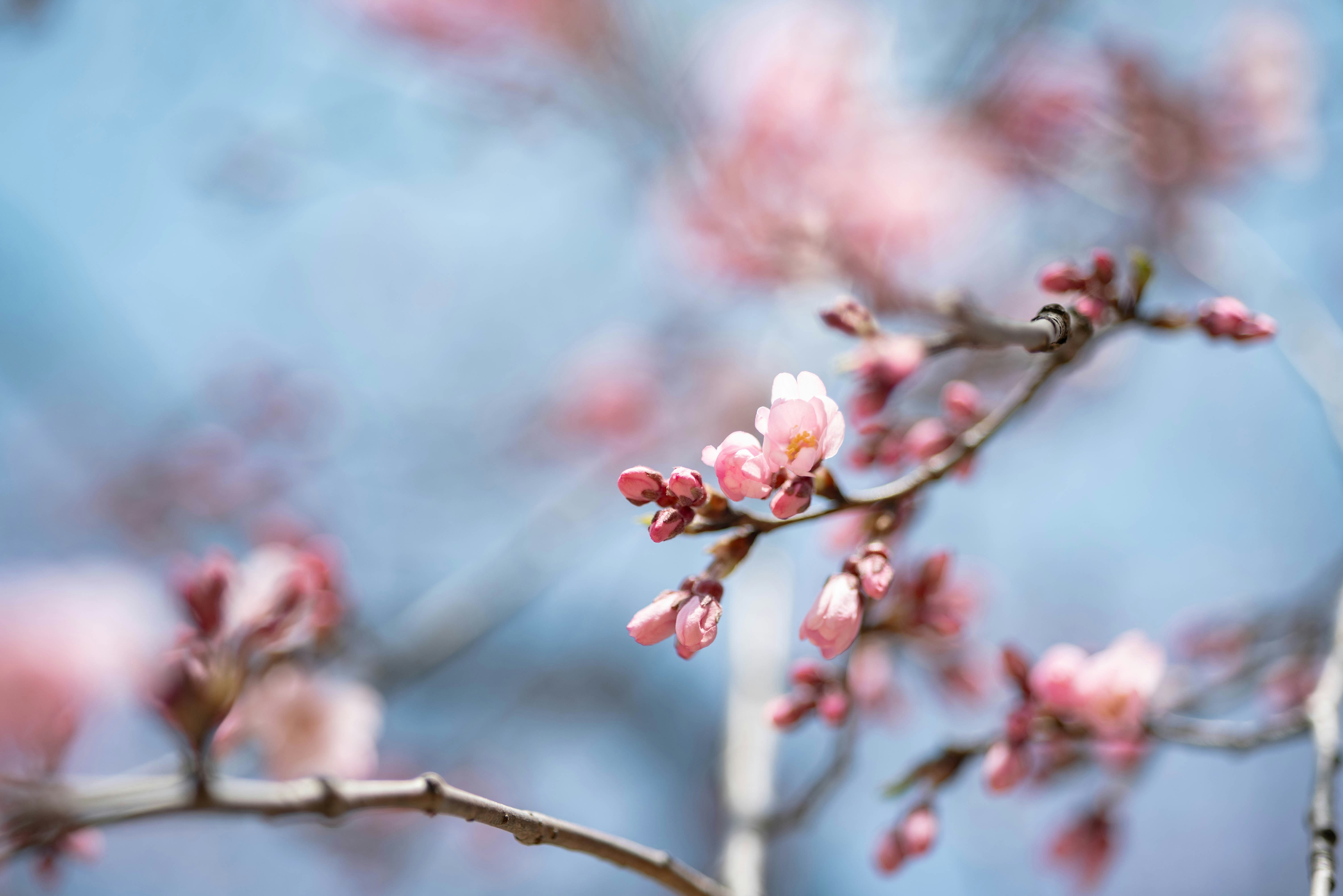 Photo by rays_pickpic